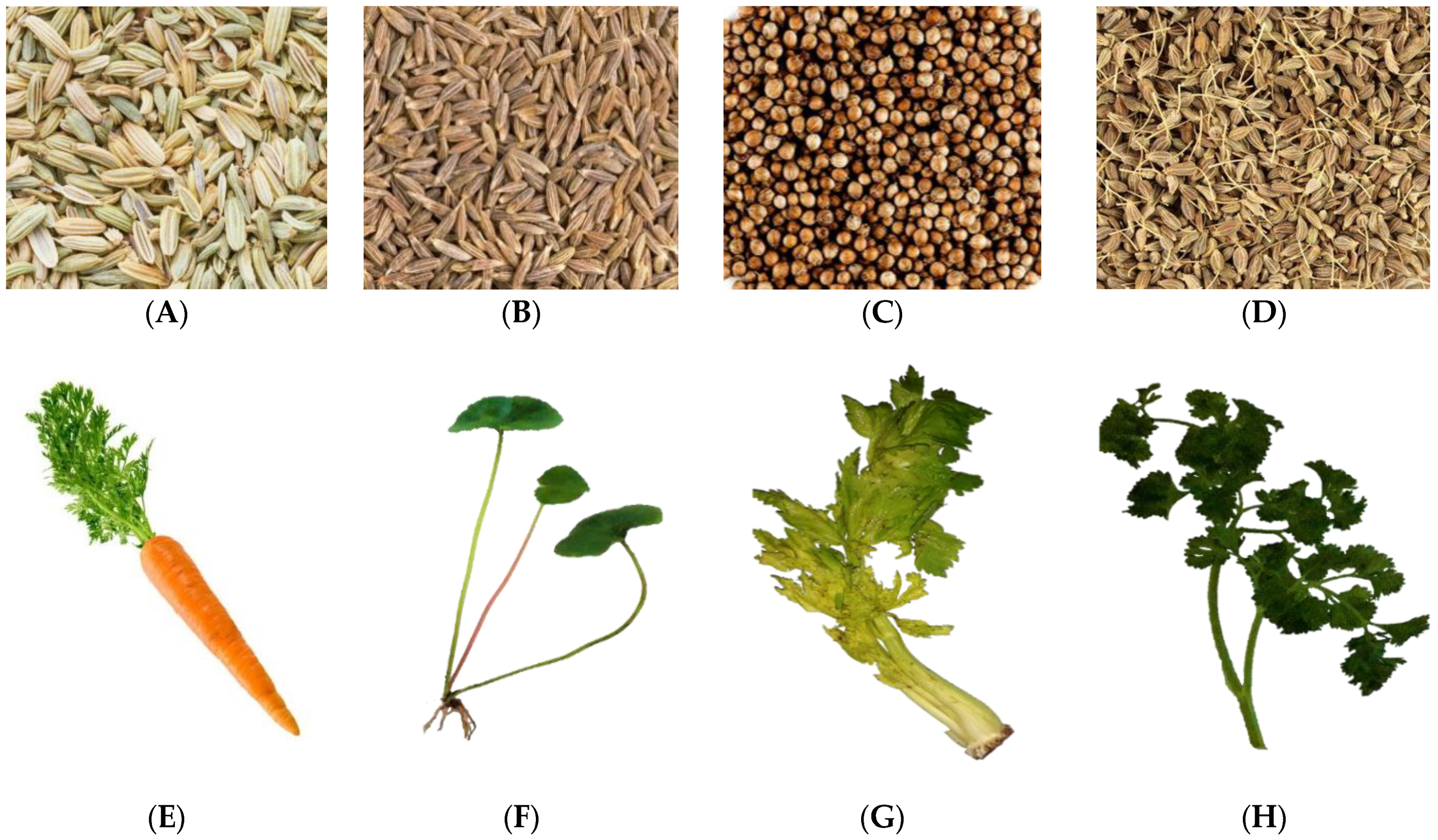 Cosmetics 08 00111 g001