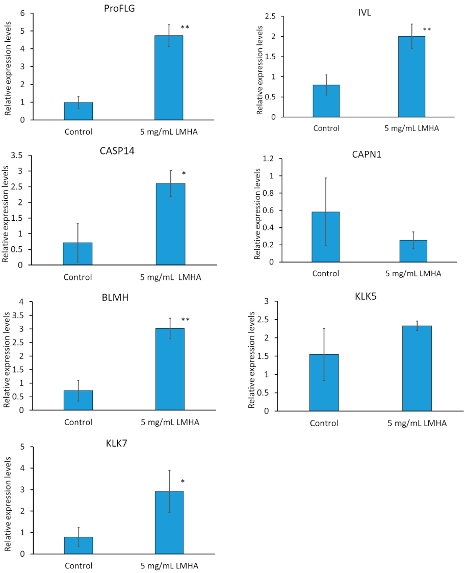 Cosmetics 08 00118 g002