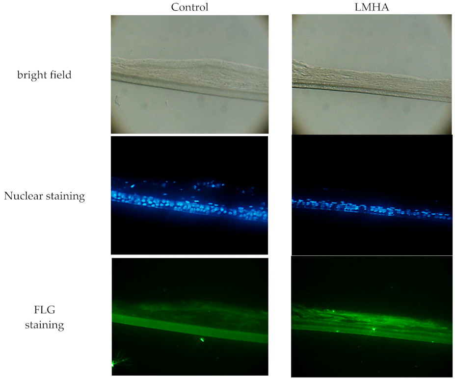 Cosmetics 08 00118 g003