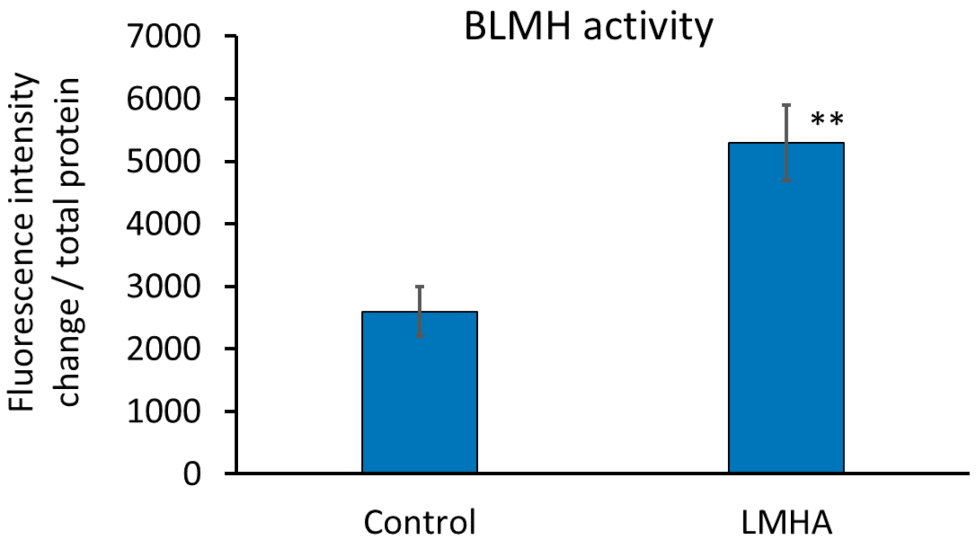 Cosmetics 08 00118 g006