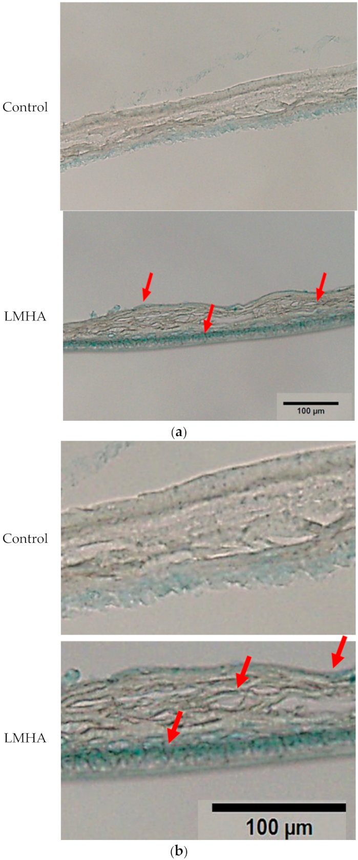 Cosmetics 08 00118 g007