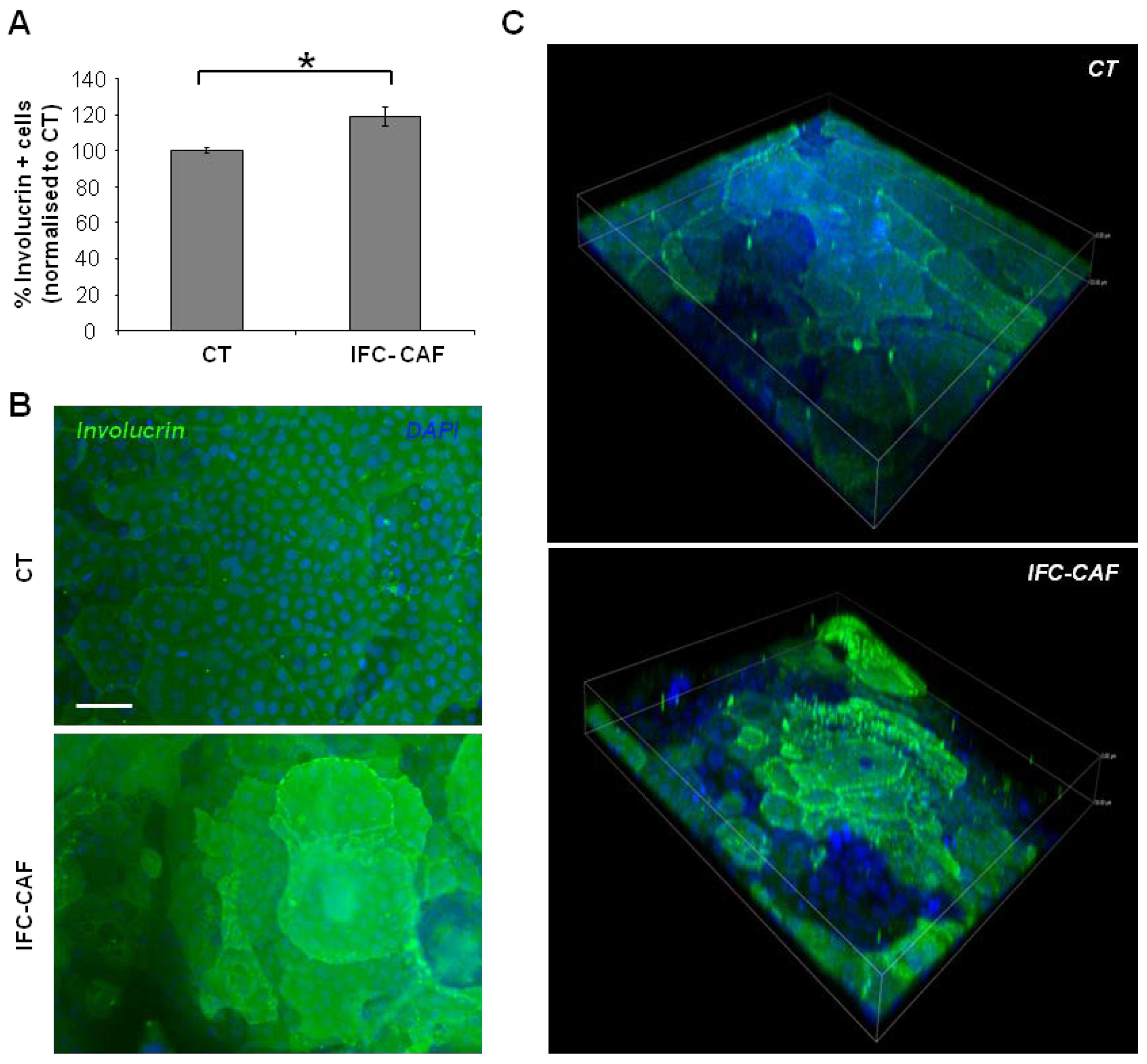 Cosmetics 09 00002 g003