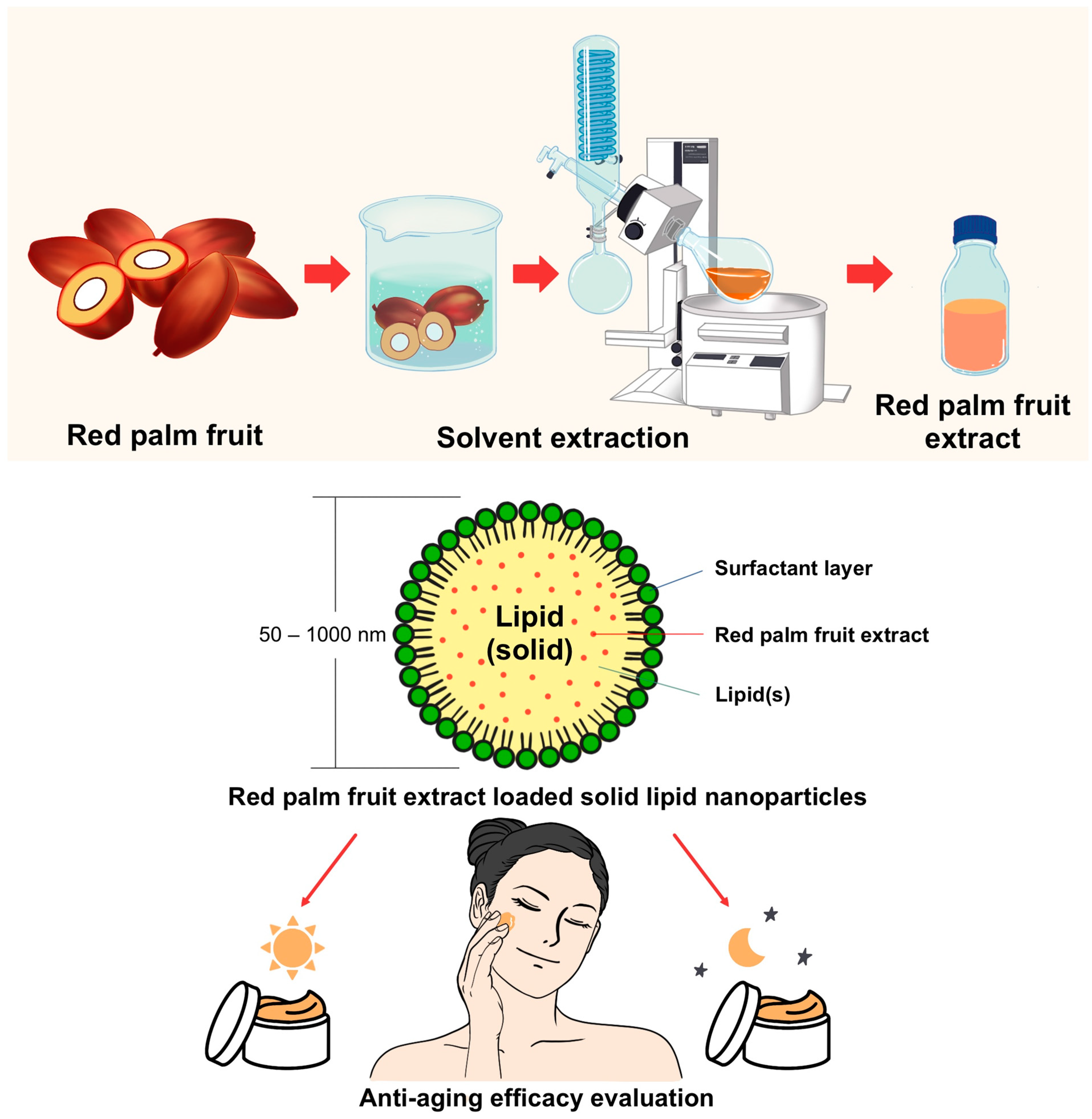 Cosmetics 09 00003 g001