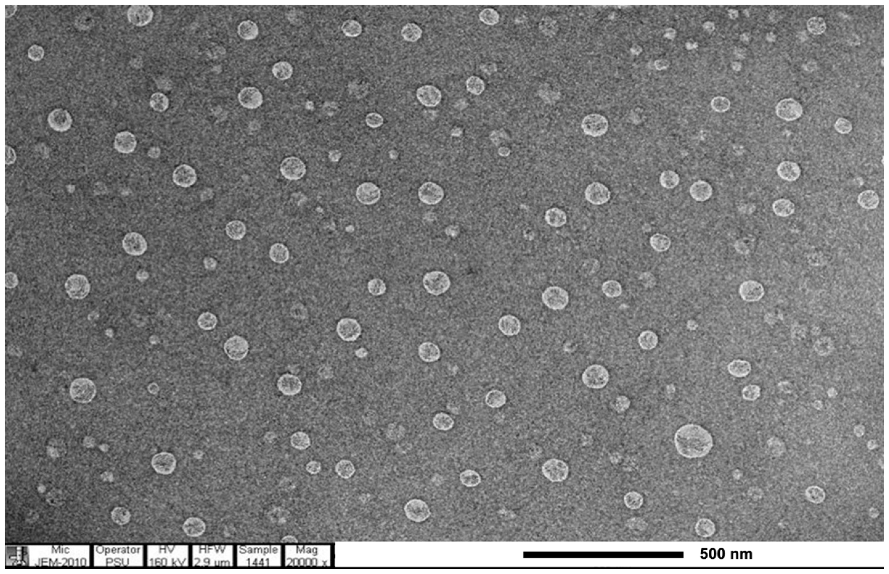 Cosmetics 09 00003 g004