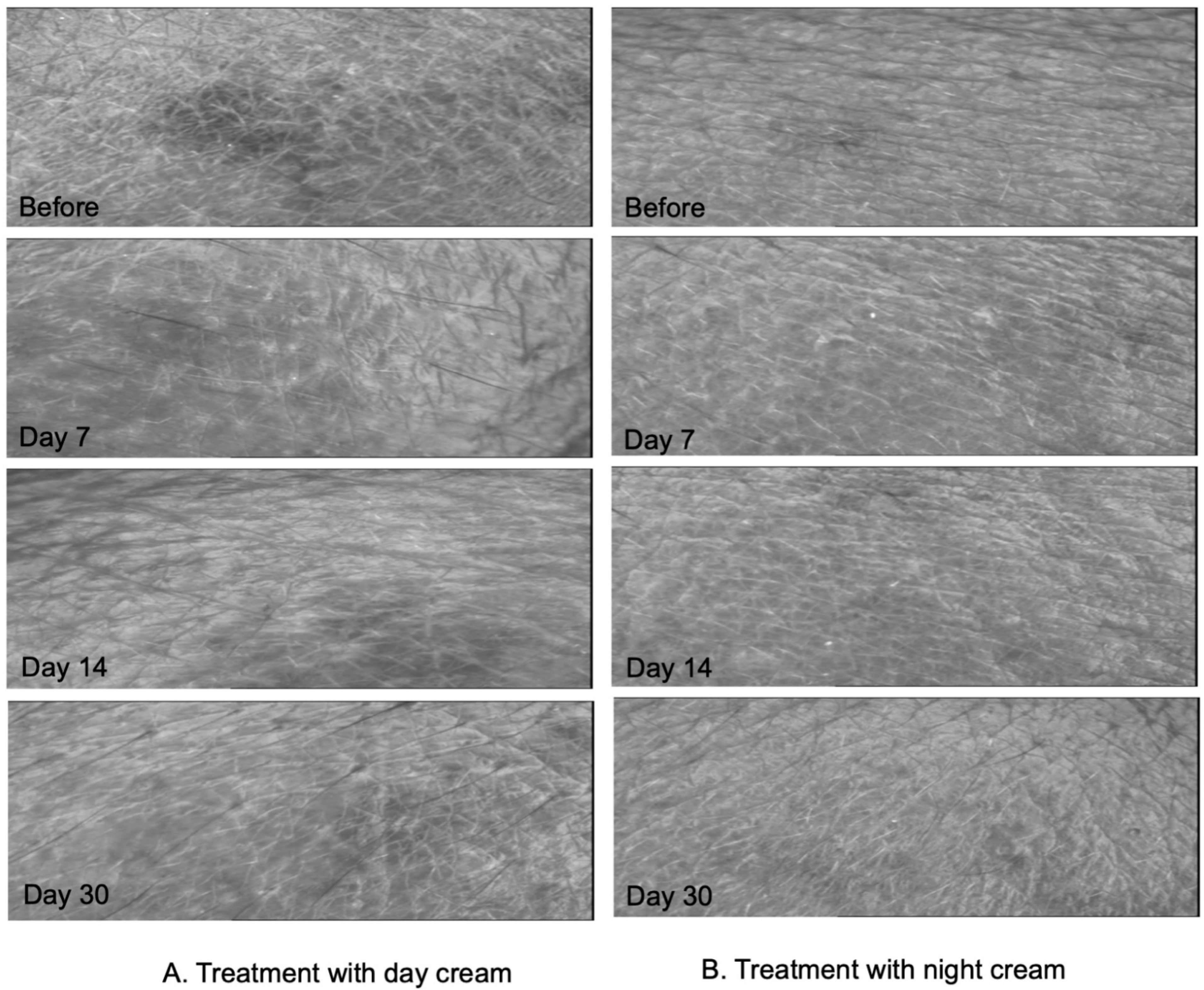 Cosmetics 09 00003 g007