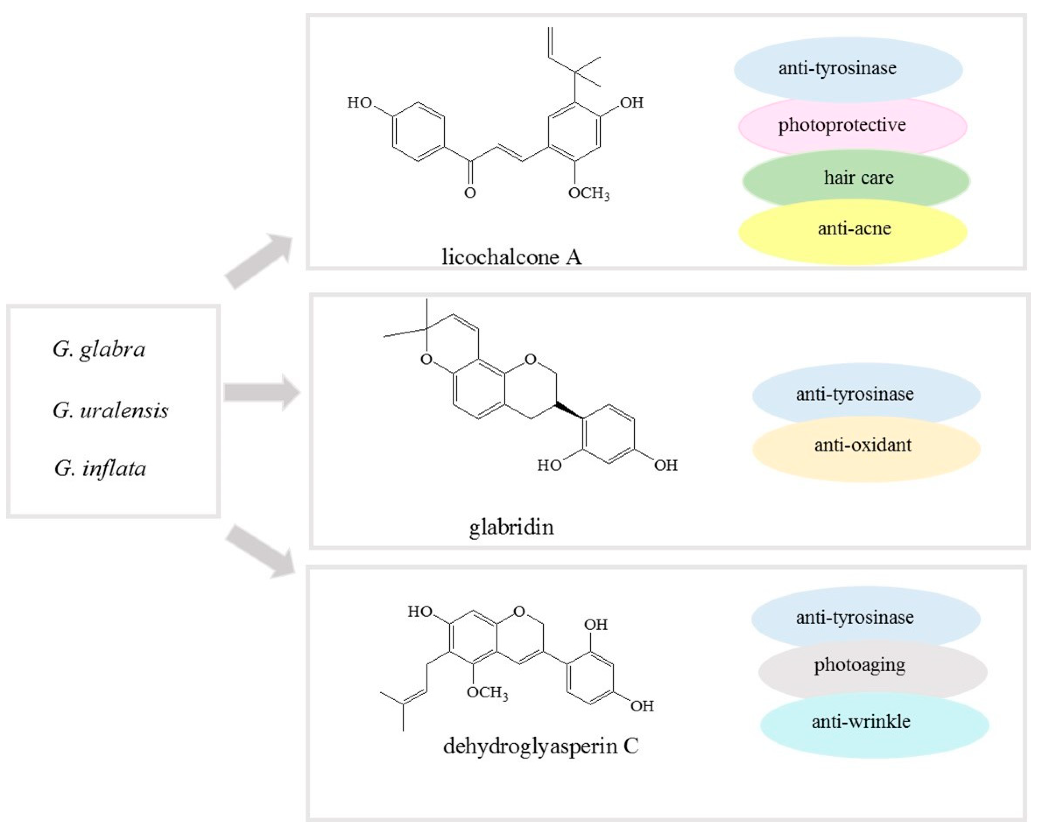 Cosmetics 09 00007 g005