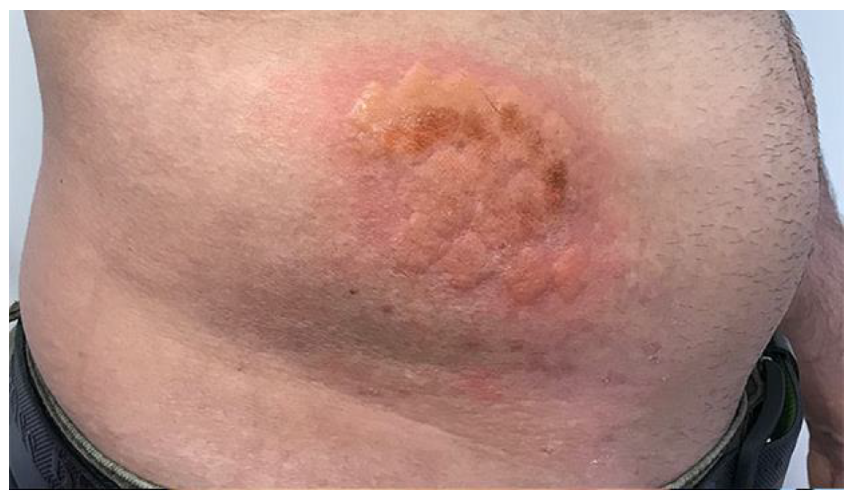 Cosmetics 09 00010 g002