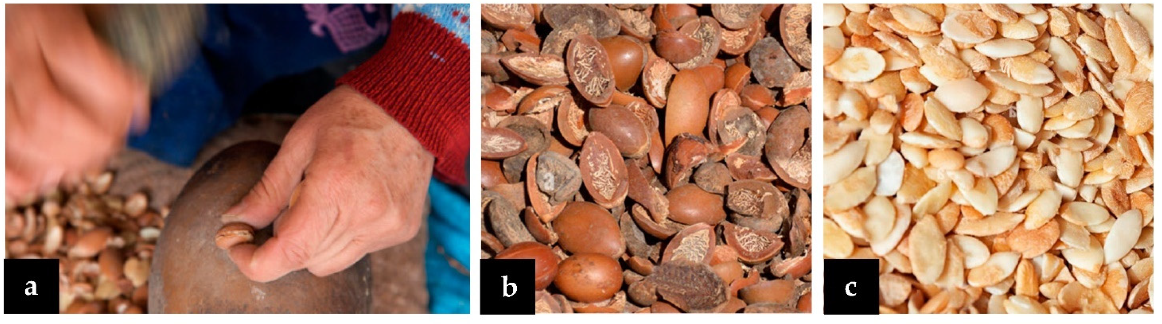 Cosmetics 09 00024 g002