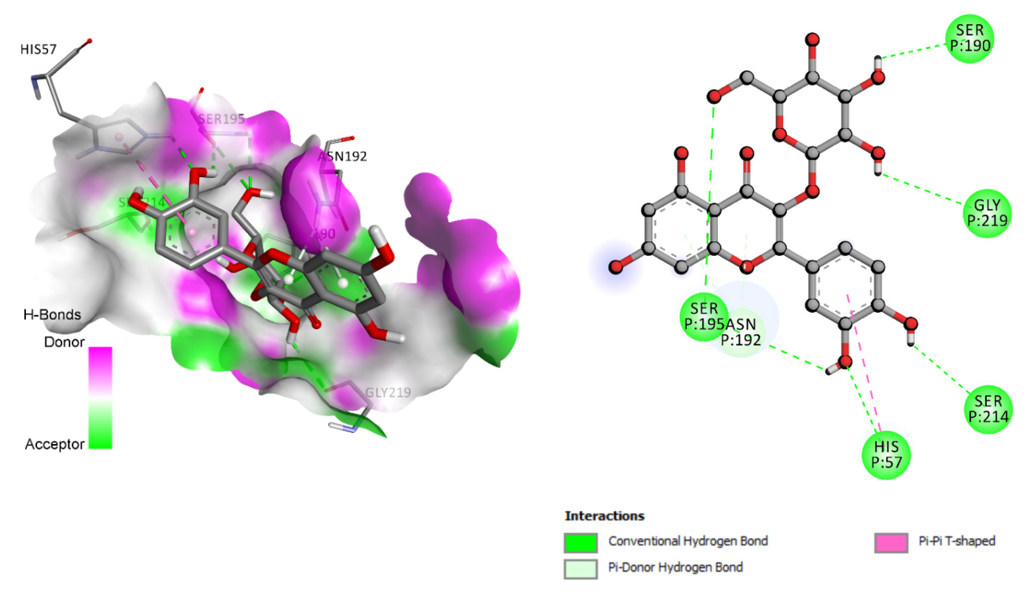 Cosmetics 09 00024 g007