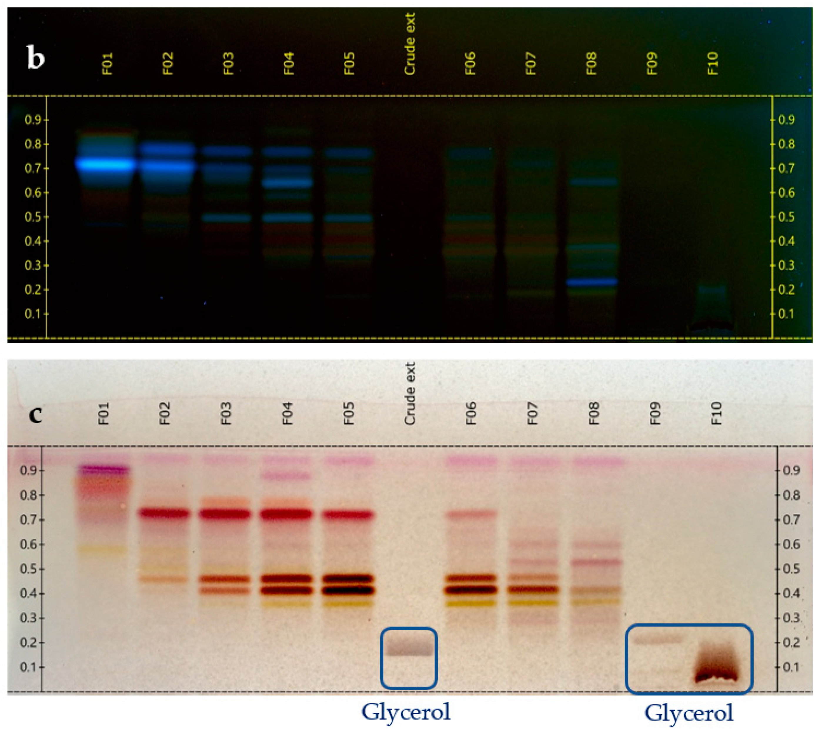 Cosmetics 09 00037 g001b