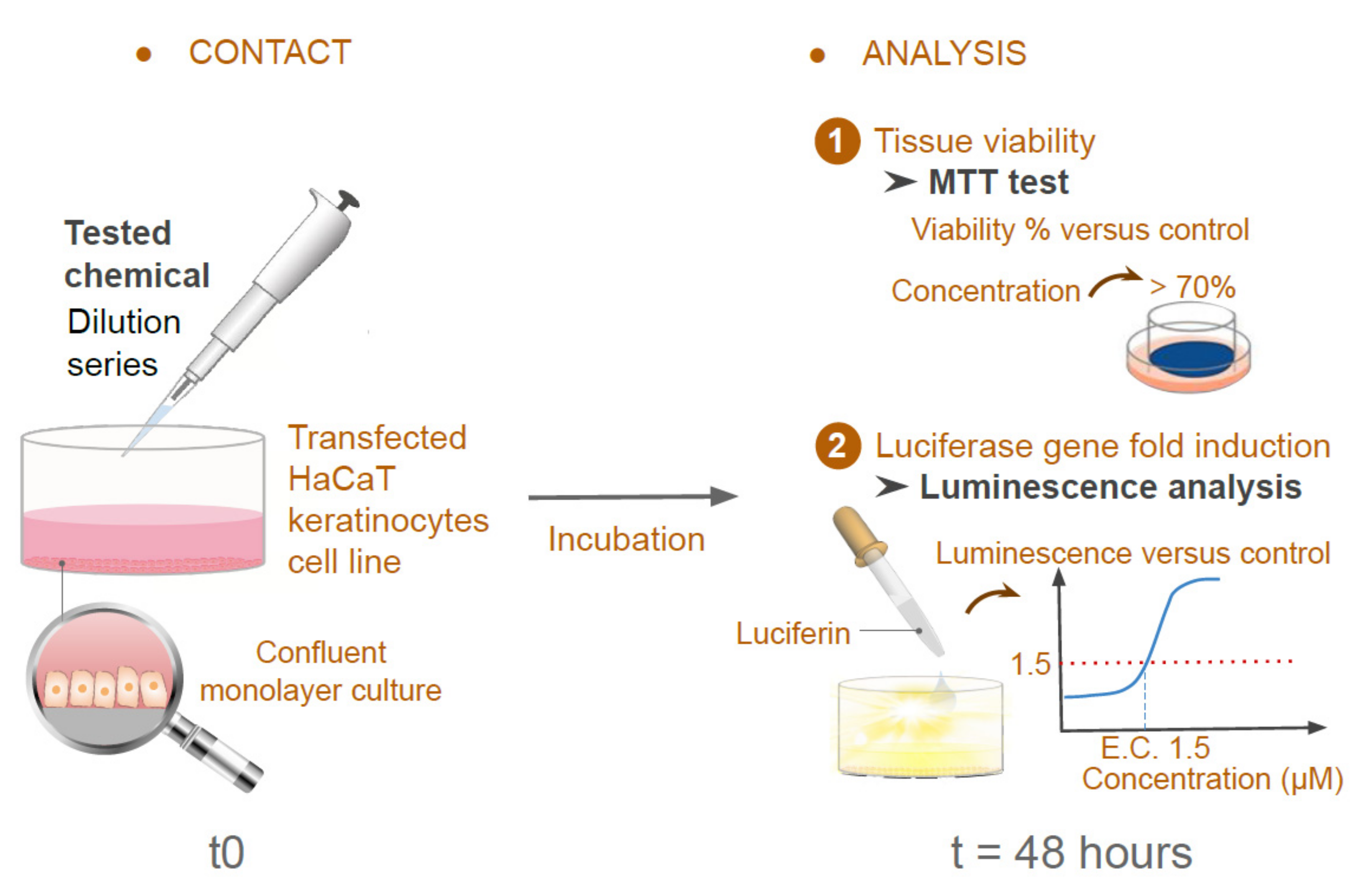 Cosmetics 09 00040 g002