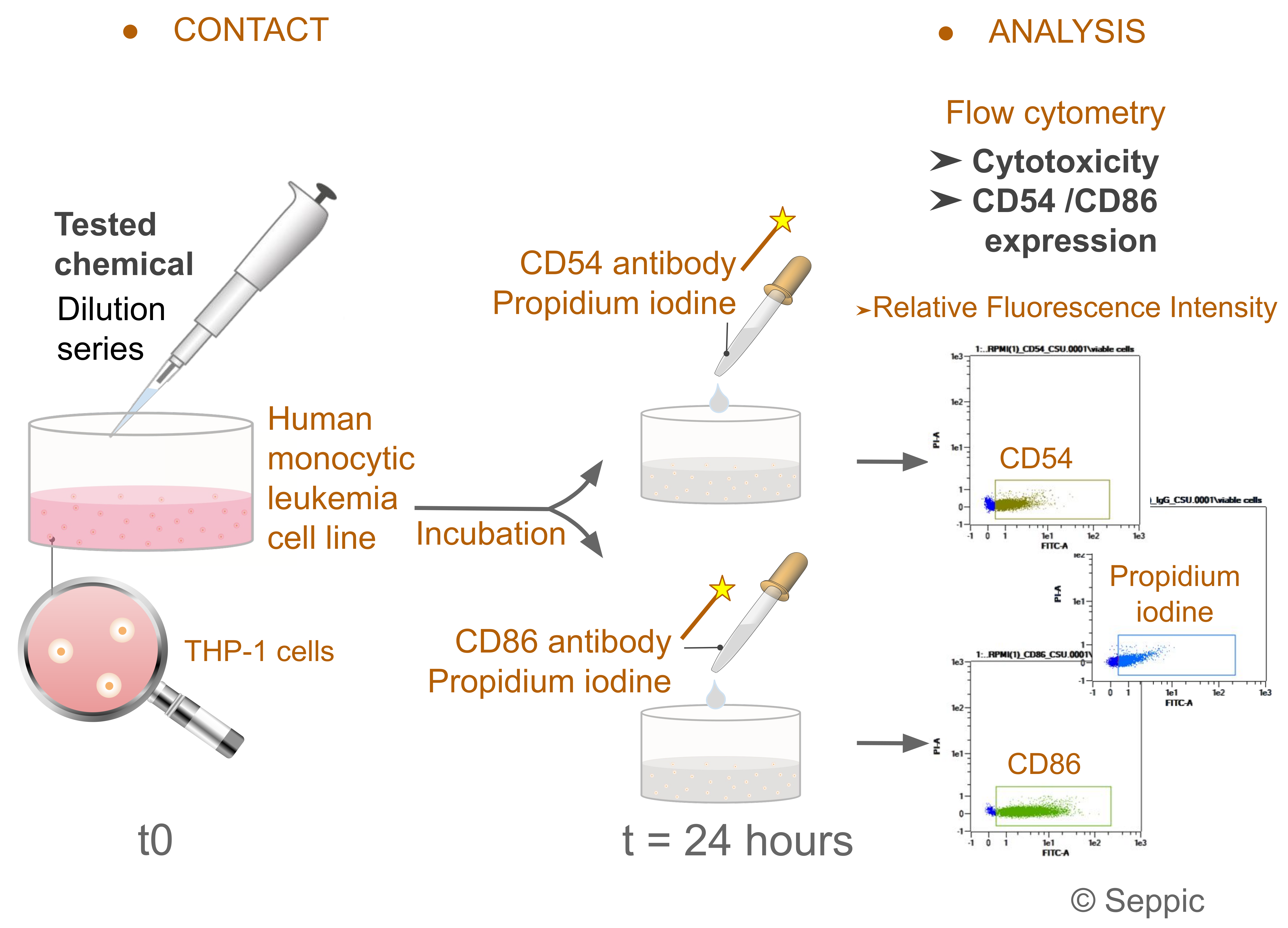 Cosmetics 09 00040 g003