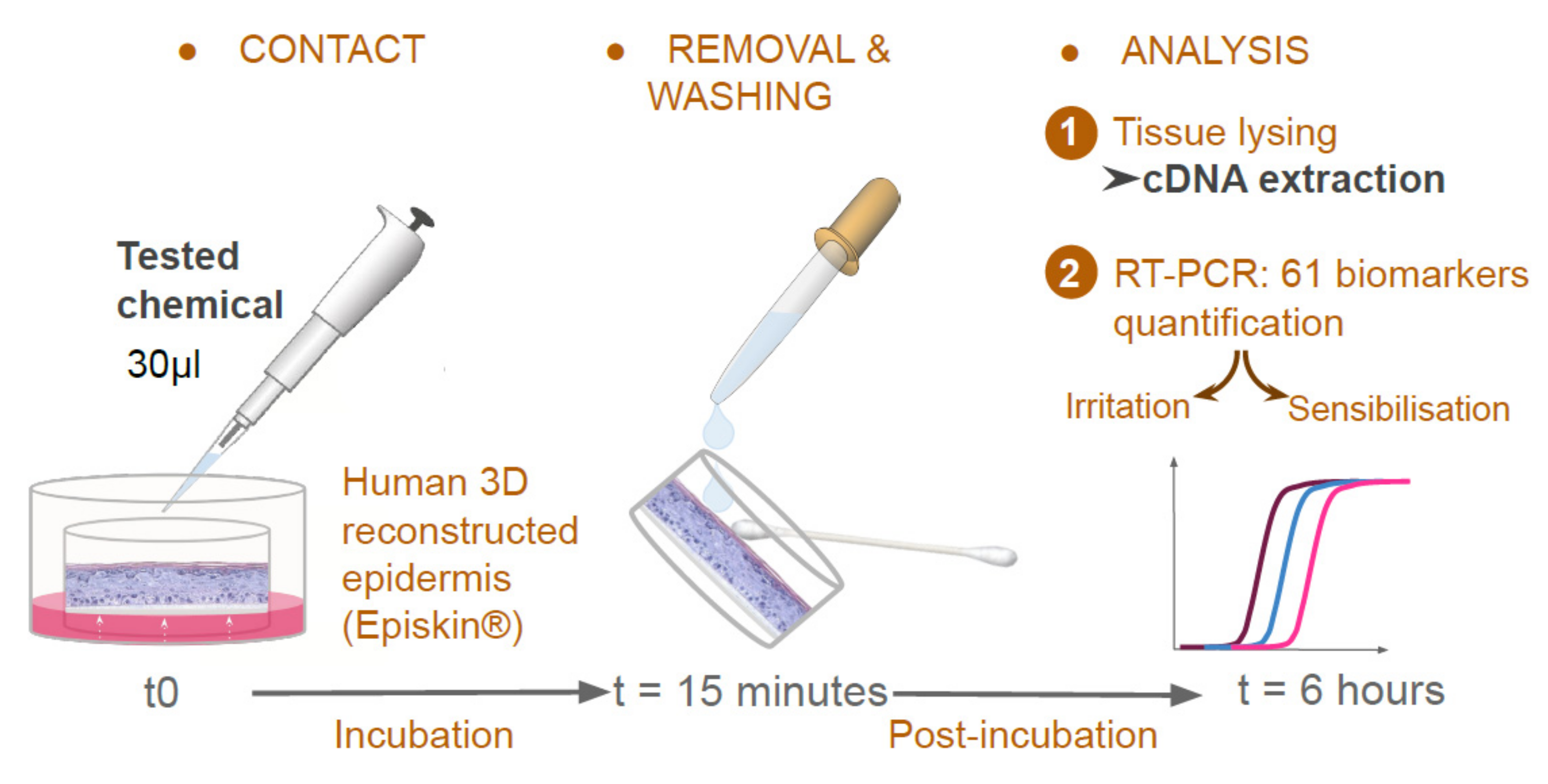 Cosmetics 09 00040 g004