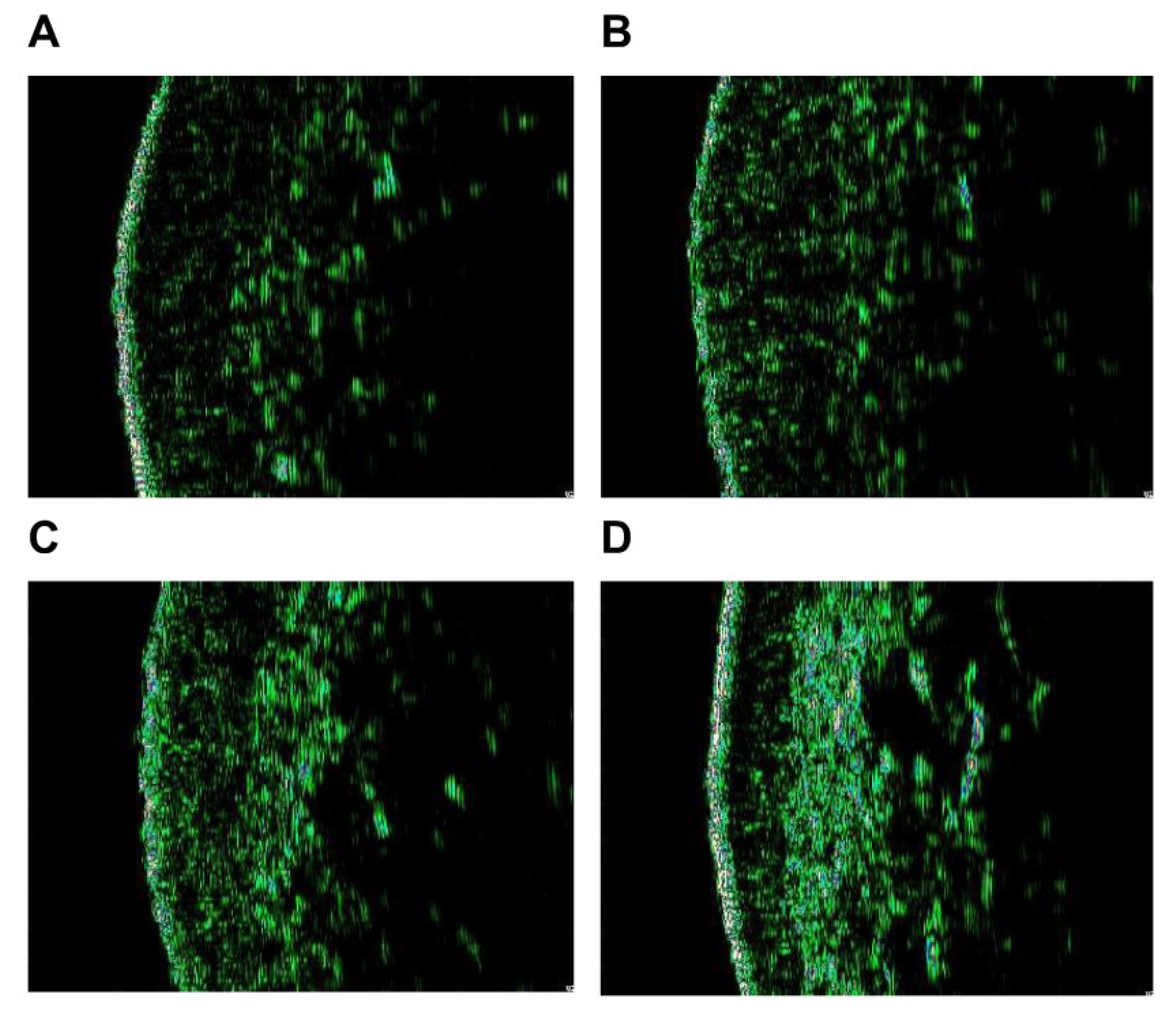 Cosmetics 09 00051 g006