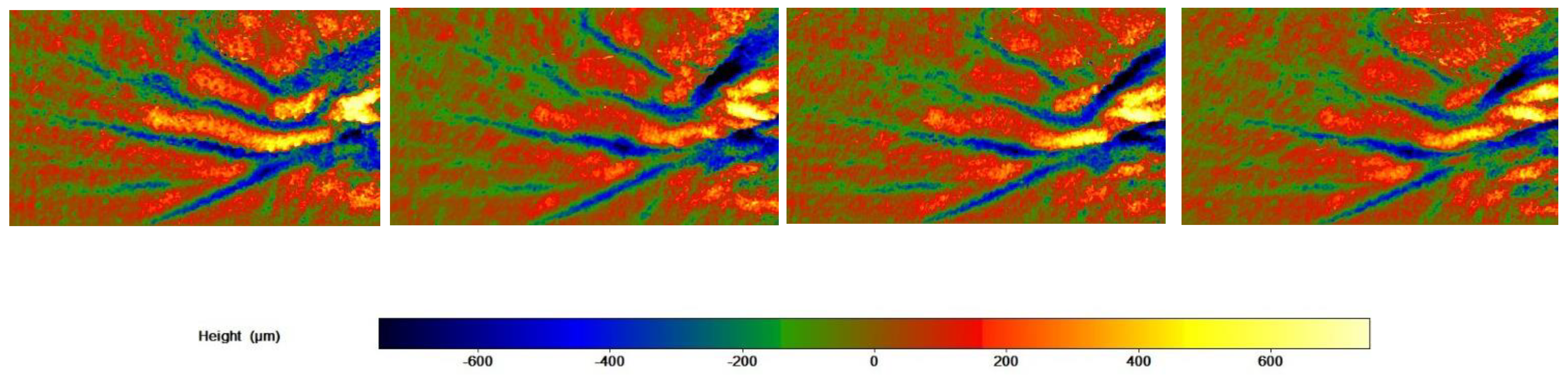 Cosmetics 09 00054 g007