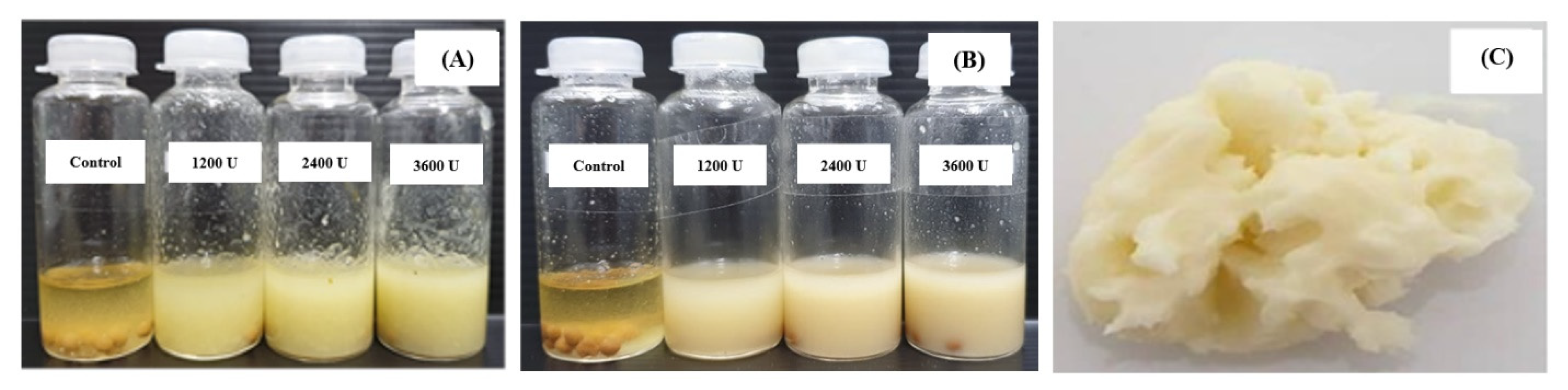 Cosmetics 09 00076 g001