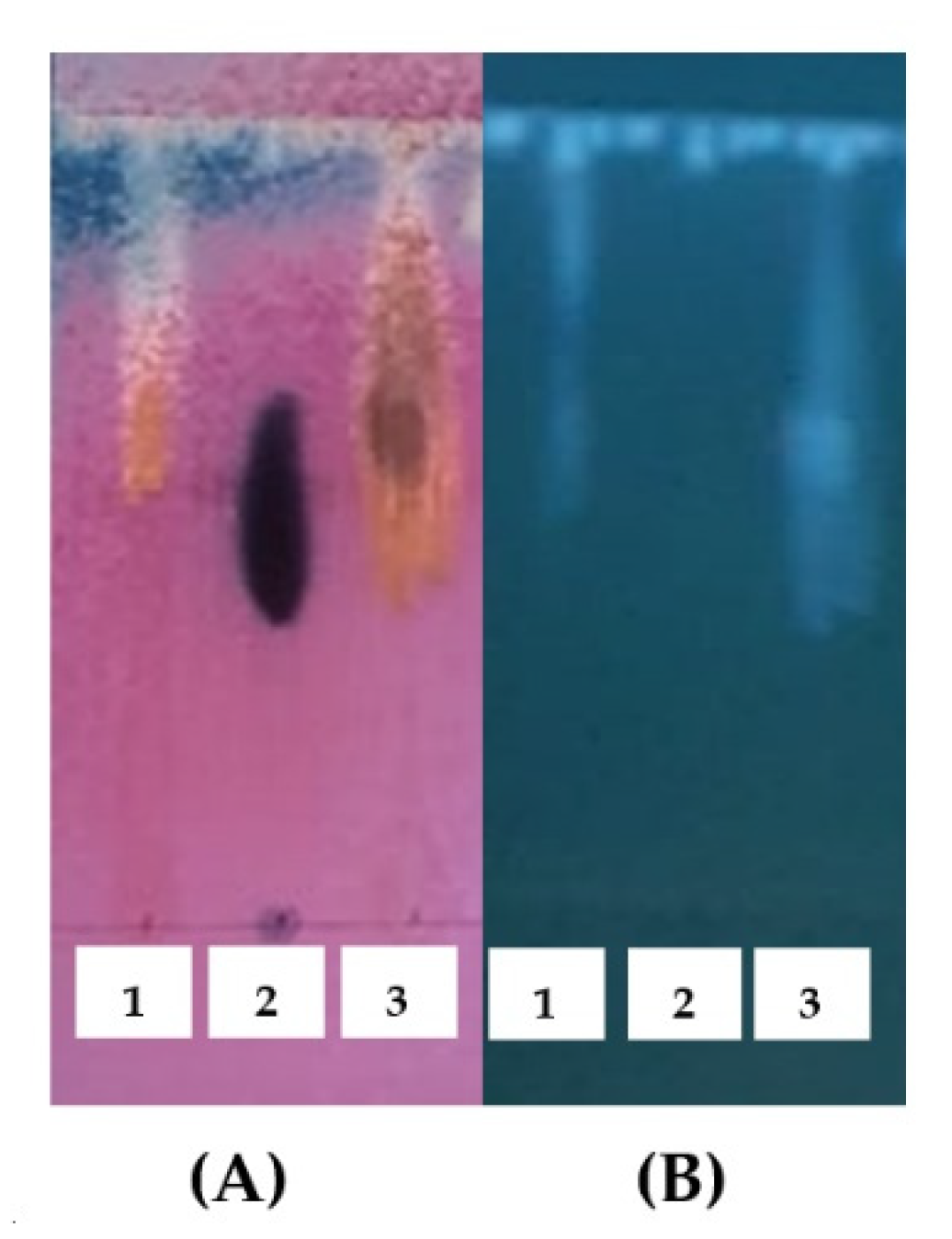 Cosmetics 09 00076 g005