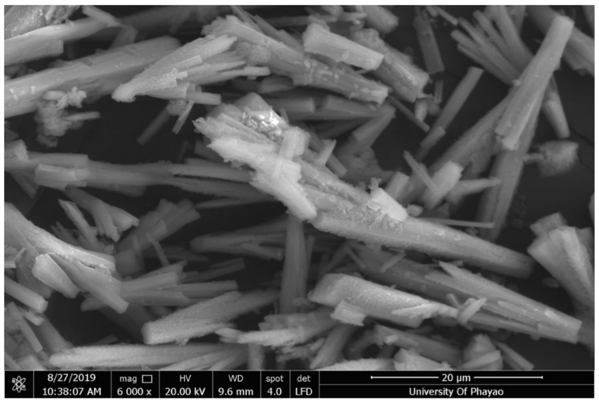 Cosmetics 09 00089 g001