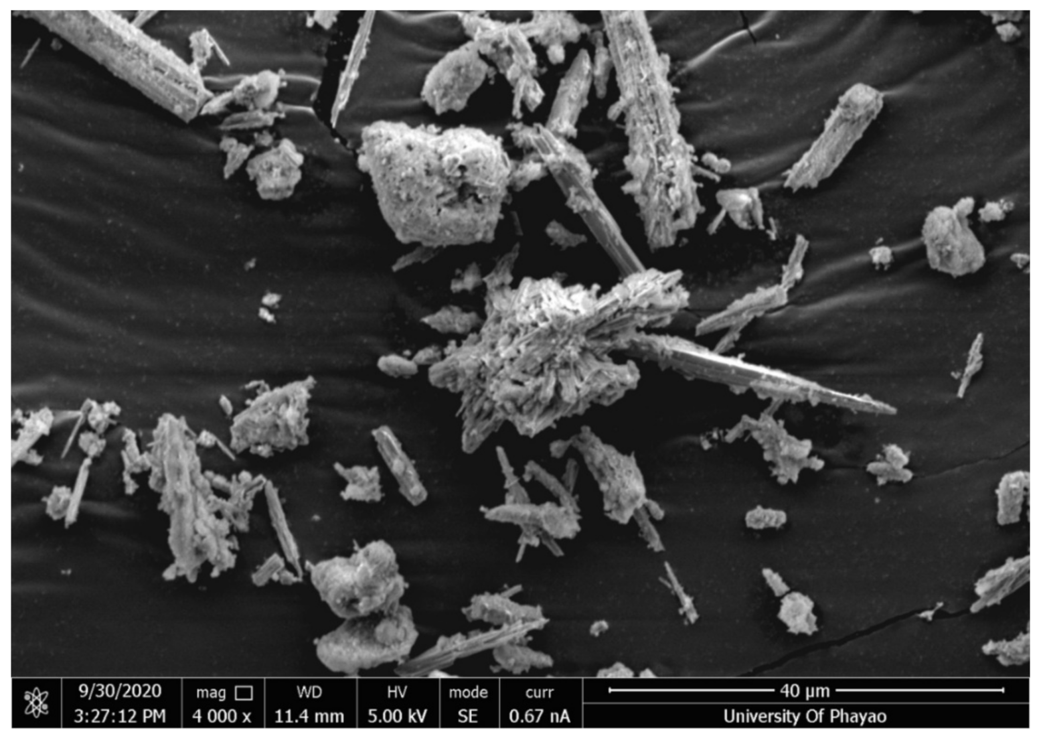 Cosmetics 09 00089 g002