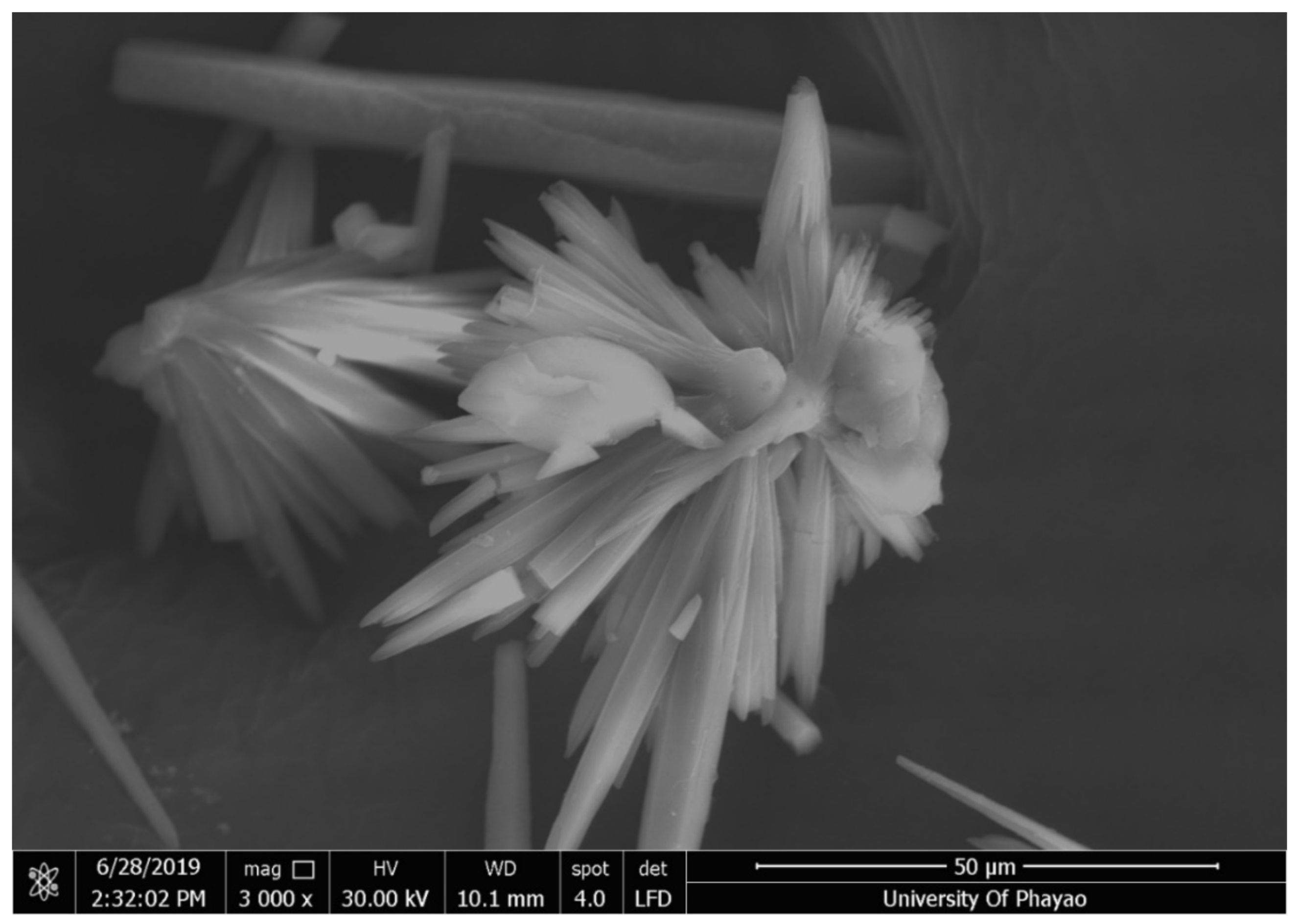 Cosmetics 09 00089 g003