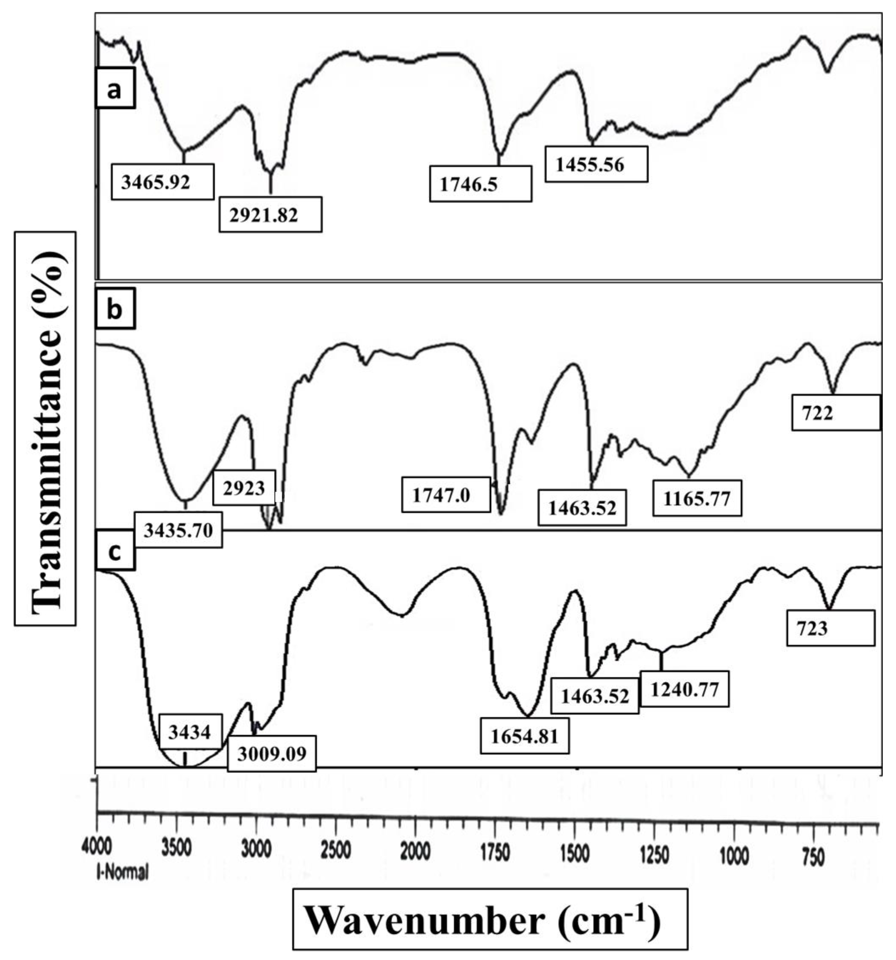 Cosmetics 09 00093 g002