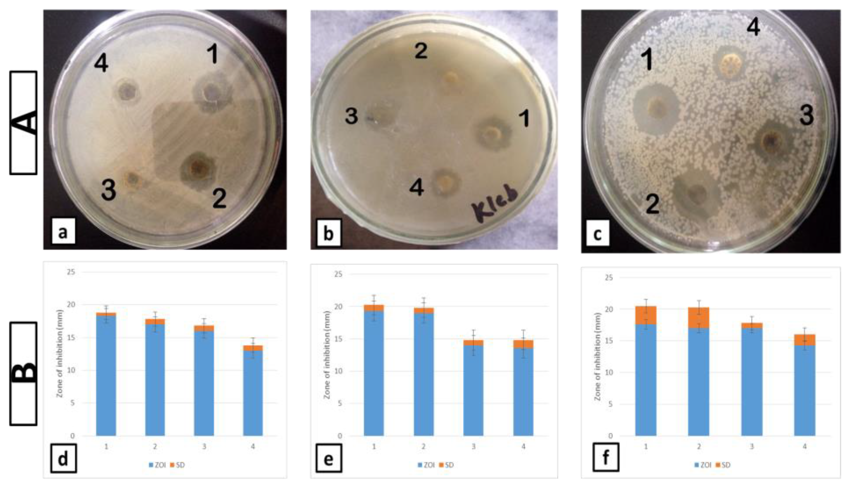 Cosmetics 09 00093 g003
