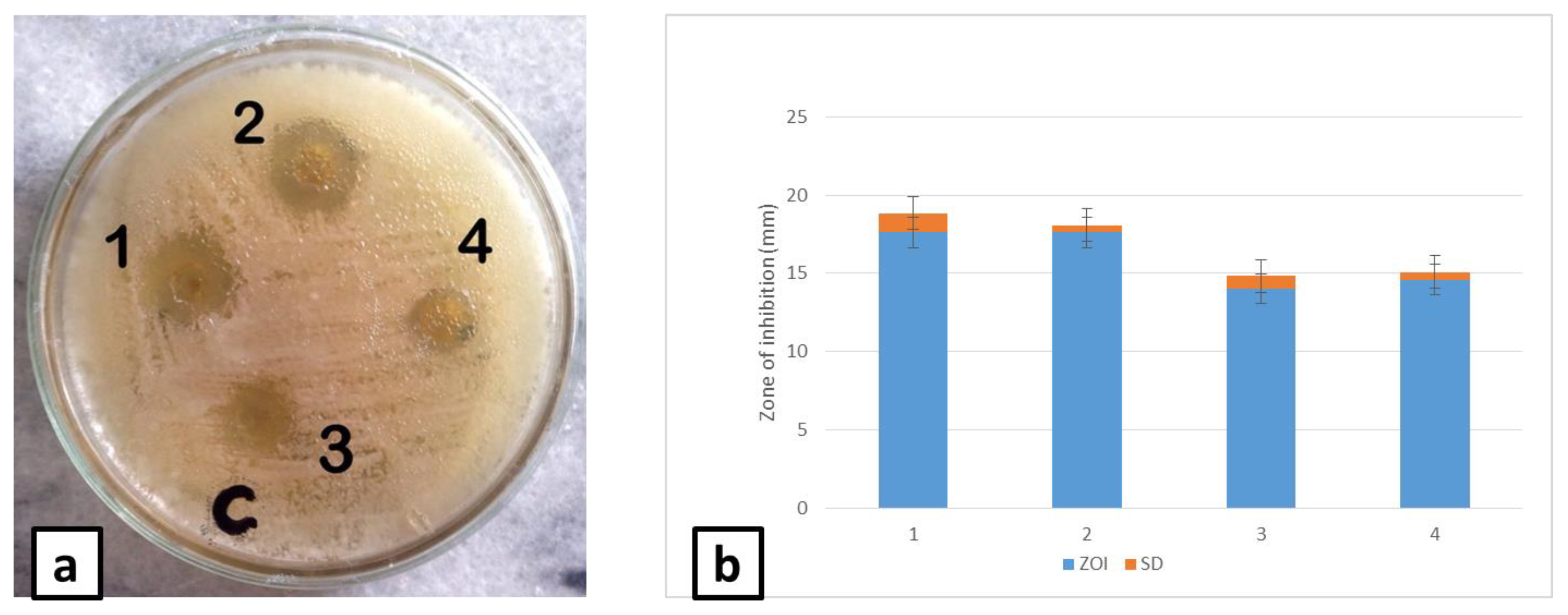 Cosmetics 09 00093 g004