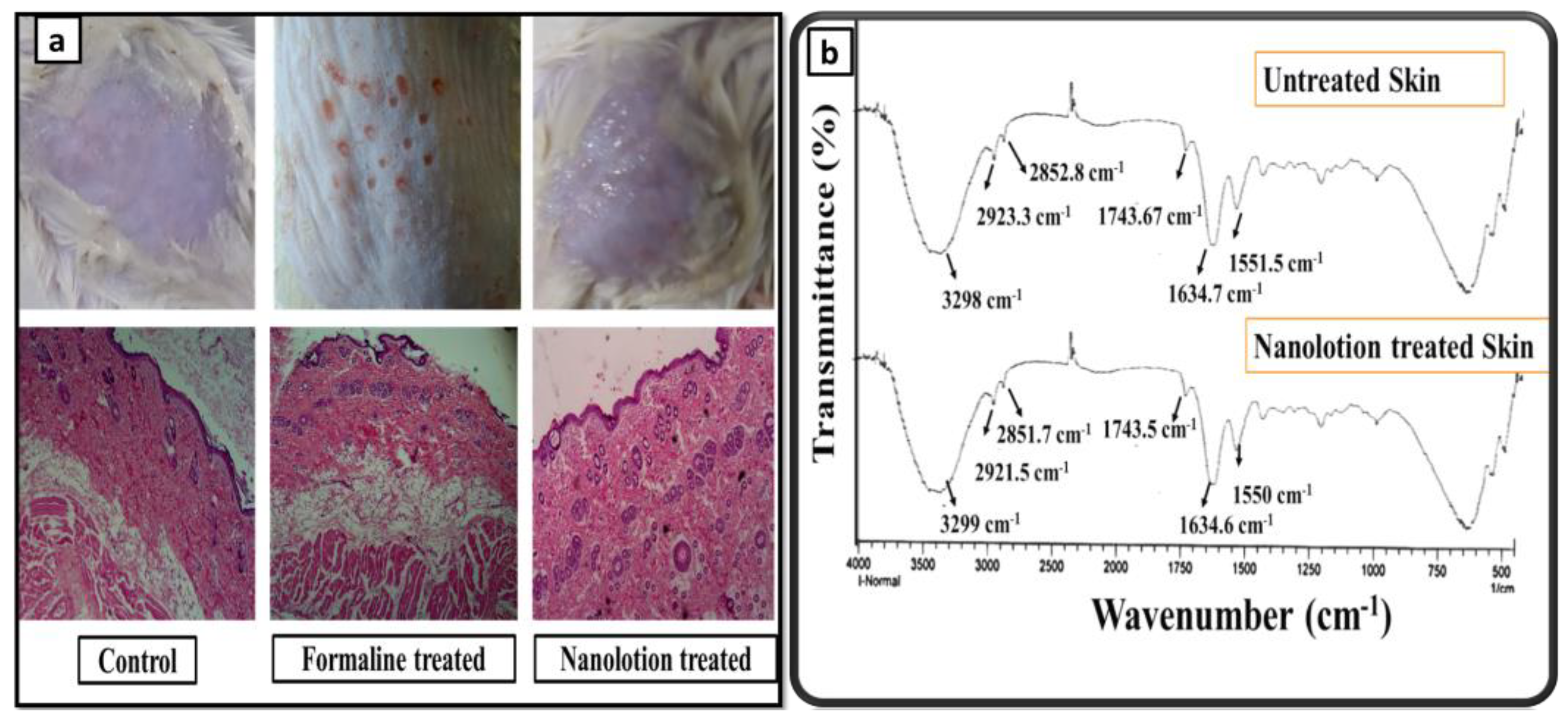 Cosmetics 09 00093 g005