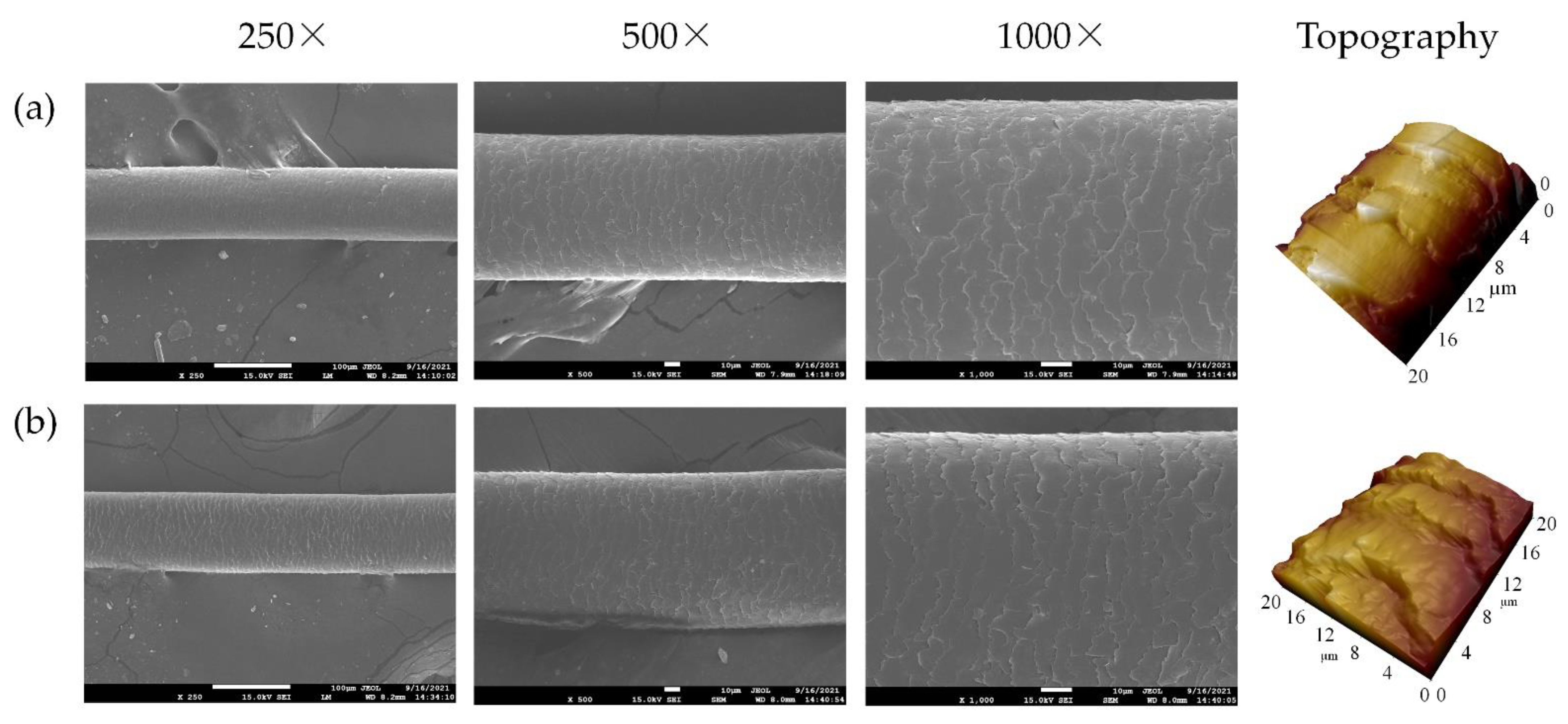 Cosmetics 09 00104 g006 Cosmetics 09 00104 g006