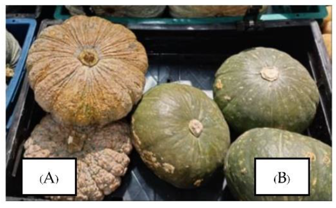 Cosmetics 09 00113 g001