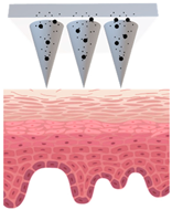 Cosmetics 09 00115 i008