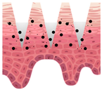 Cosmetics 09 00115 i009