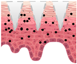 Cosmetics 09 00115 i011
