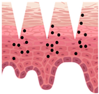 Cosmetics 09 00115 i012