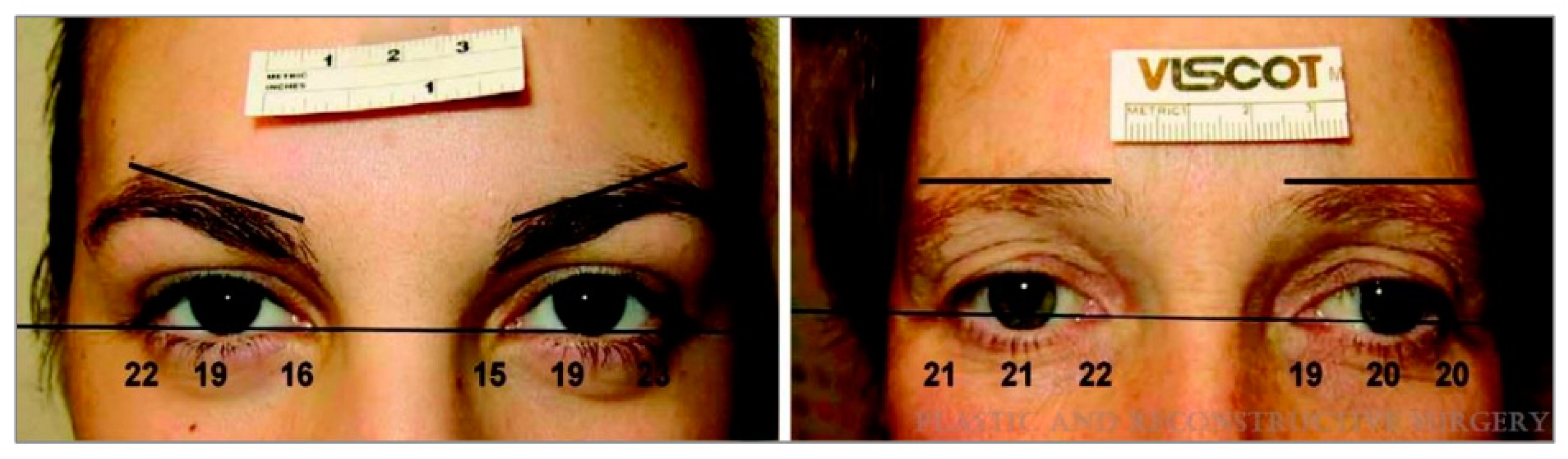 Cosmetics 09 00116 g005