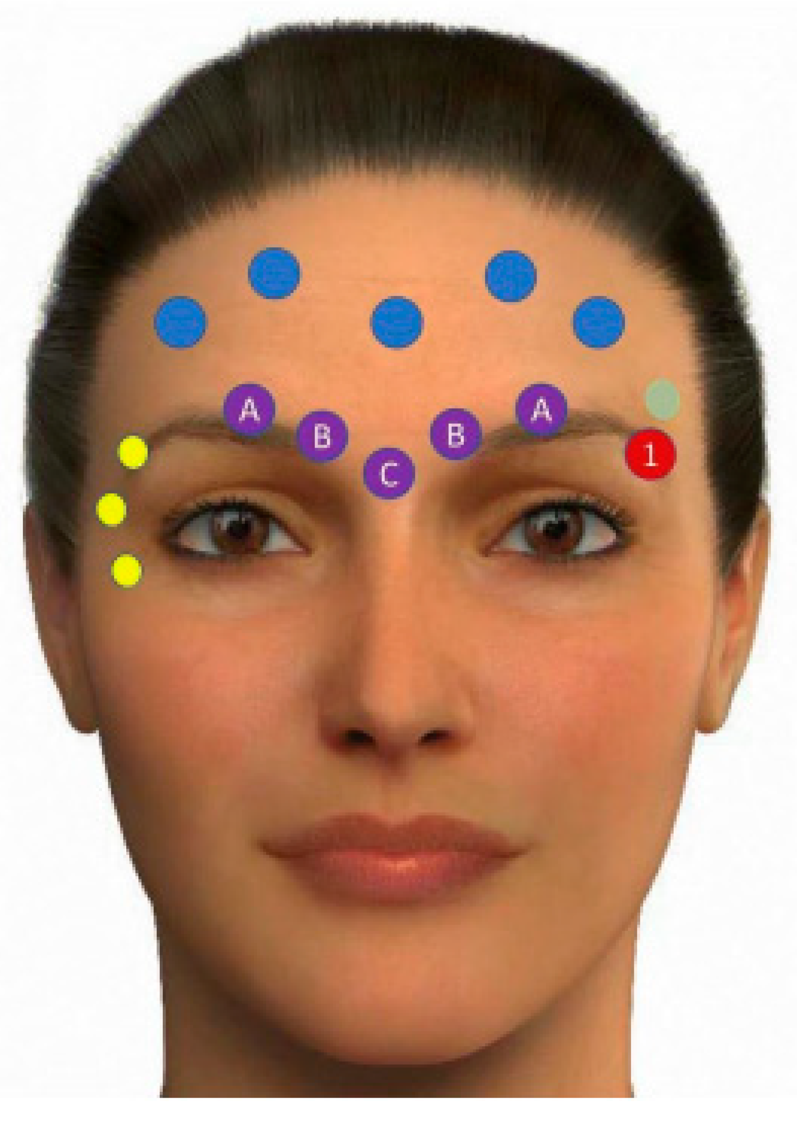 Cosmetics 09 00116 g014