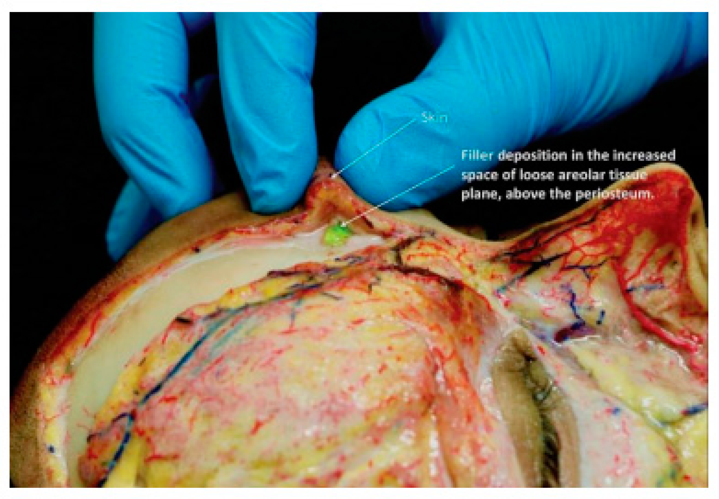 Cosmetics 09 00116 g017