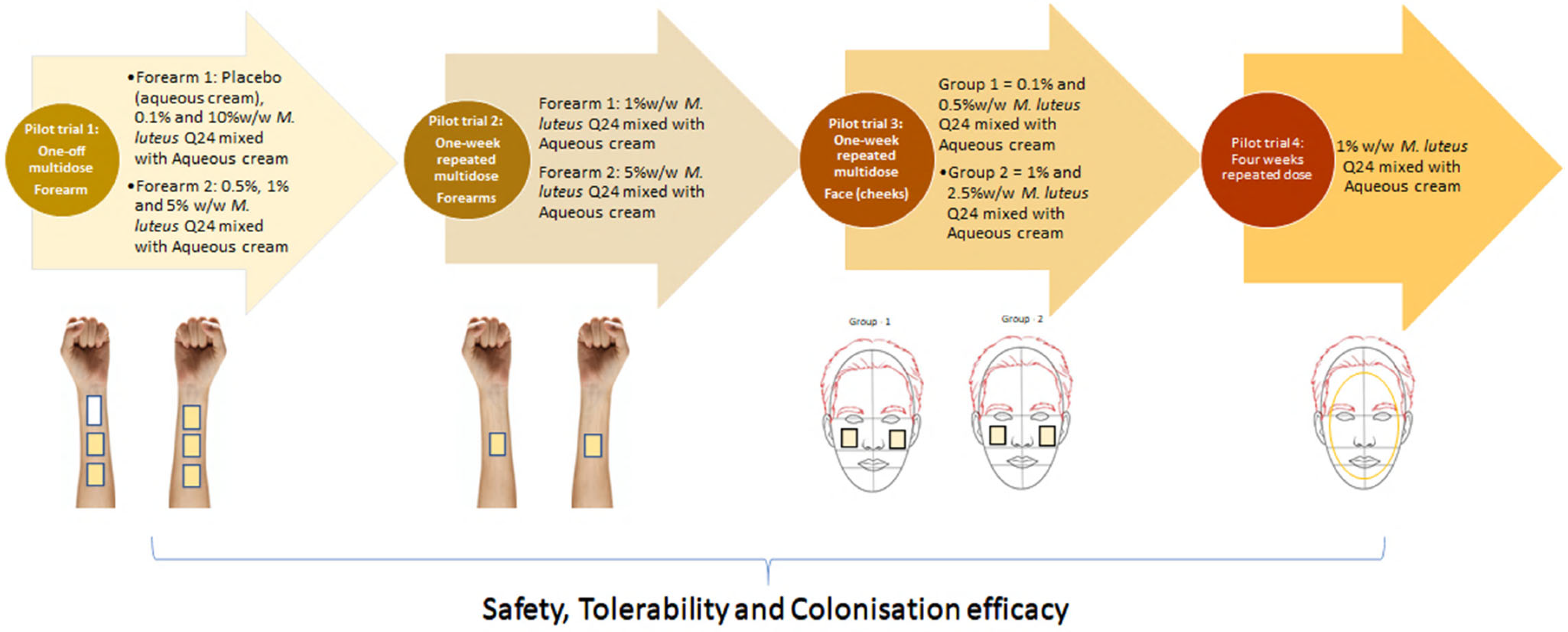 Cosmetics 09 00121 g001 Cosmetics 09 00121 g001