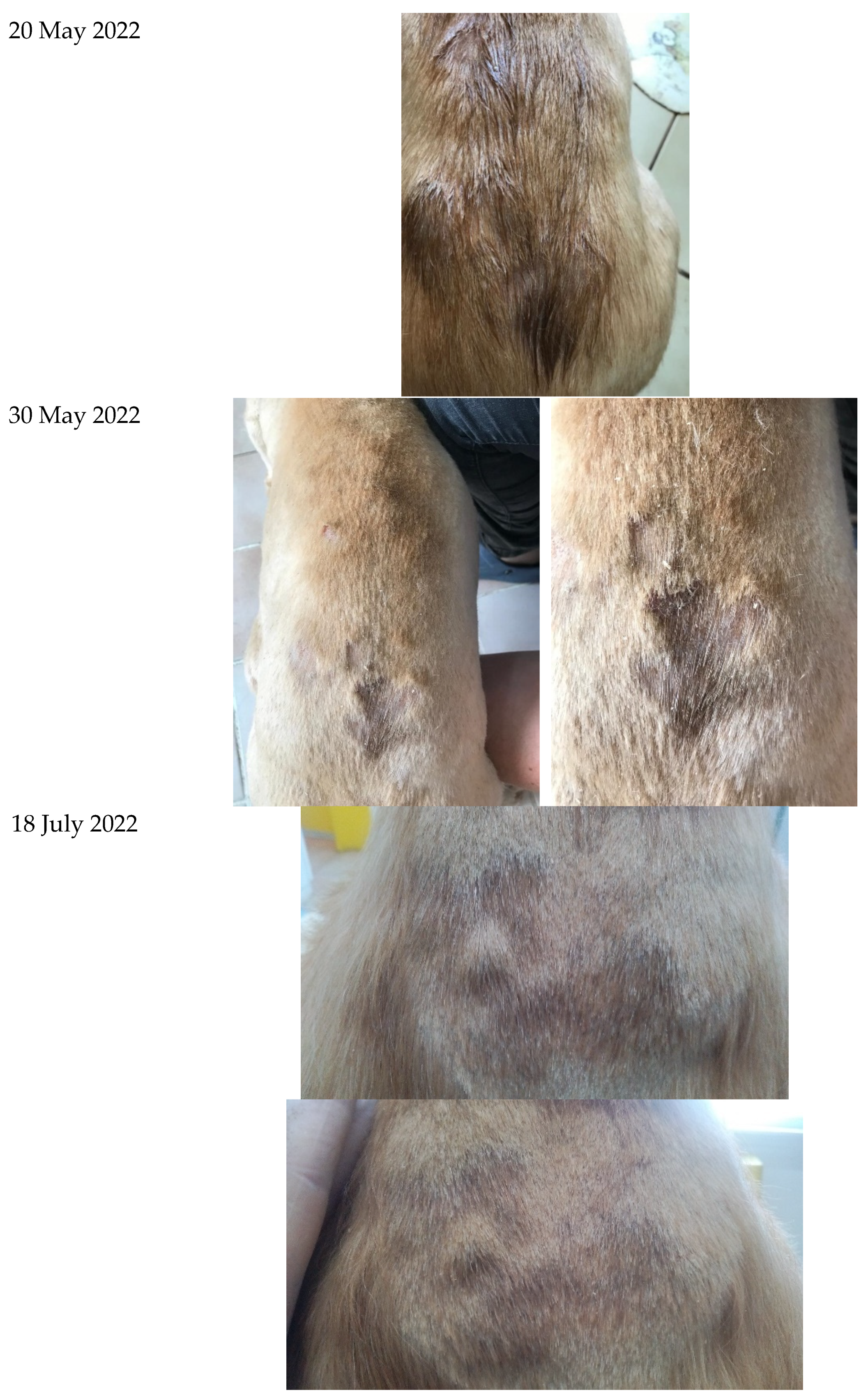 Cosmetics 09 00122 g001