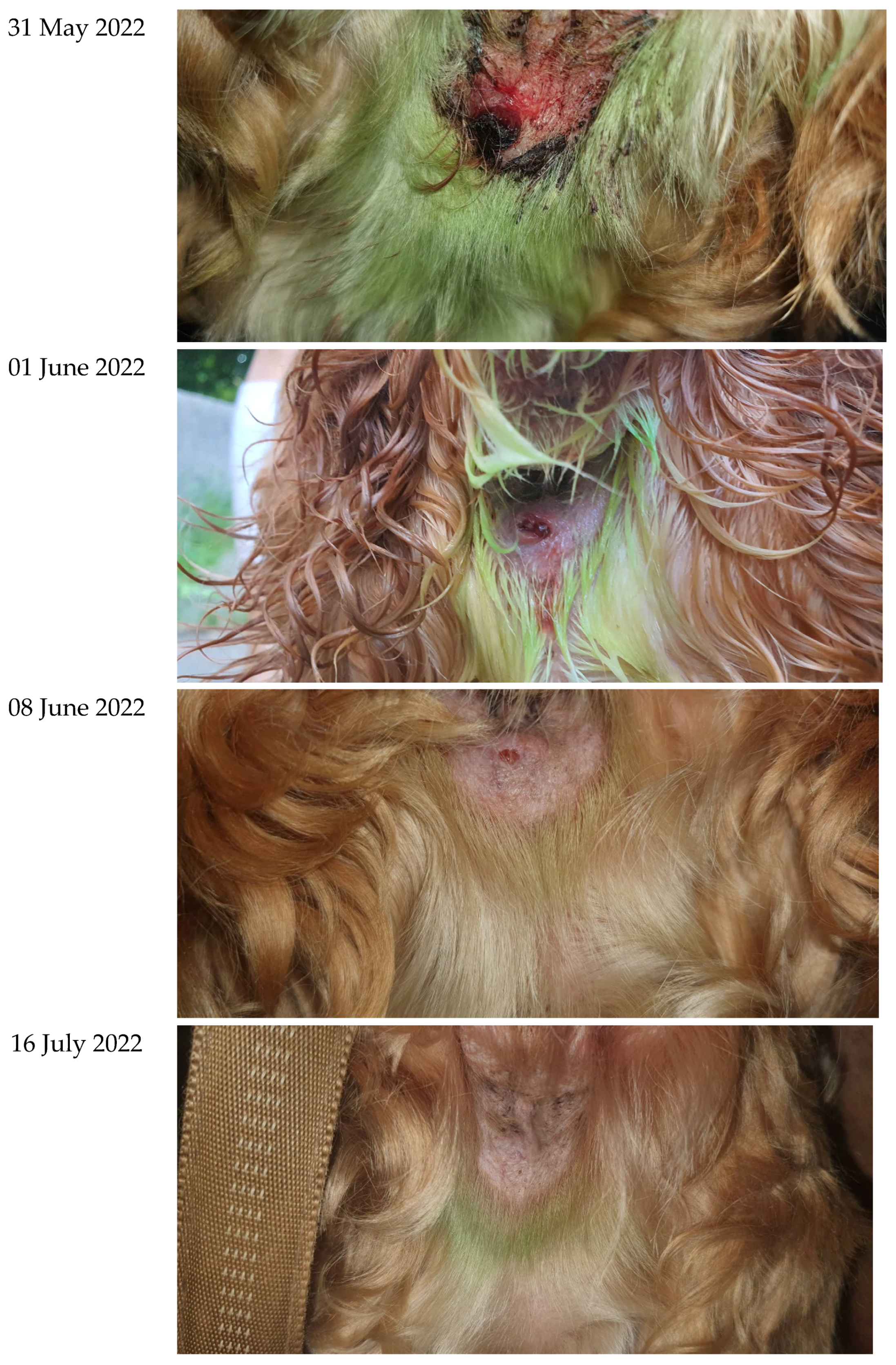 Cosmetics 09 00122 g002