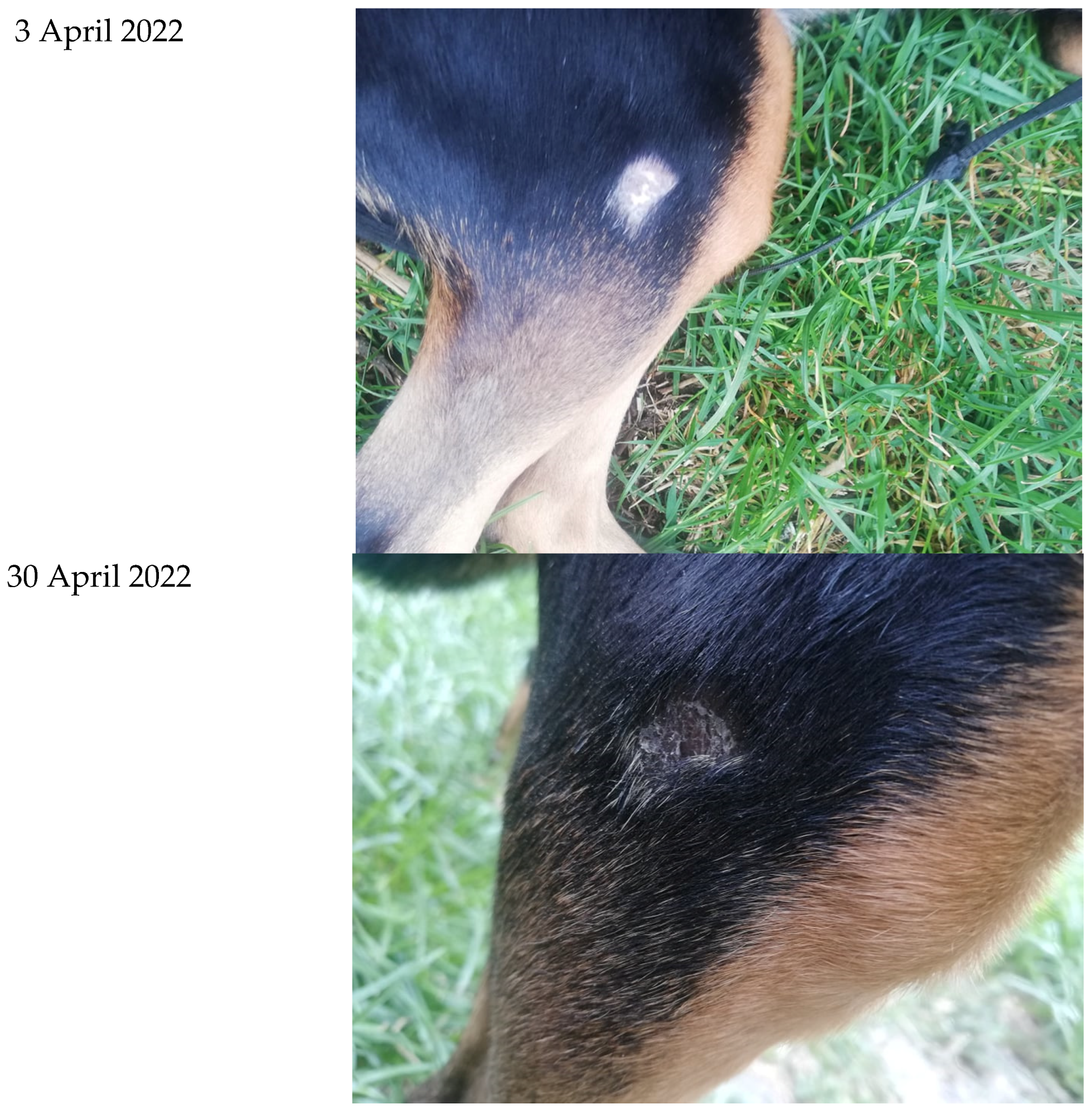 Cosmetics 09 00122 g003