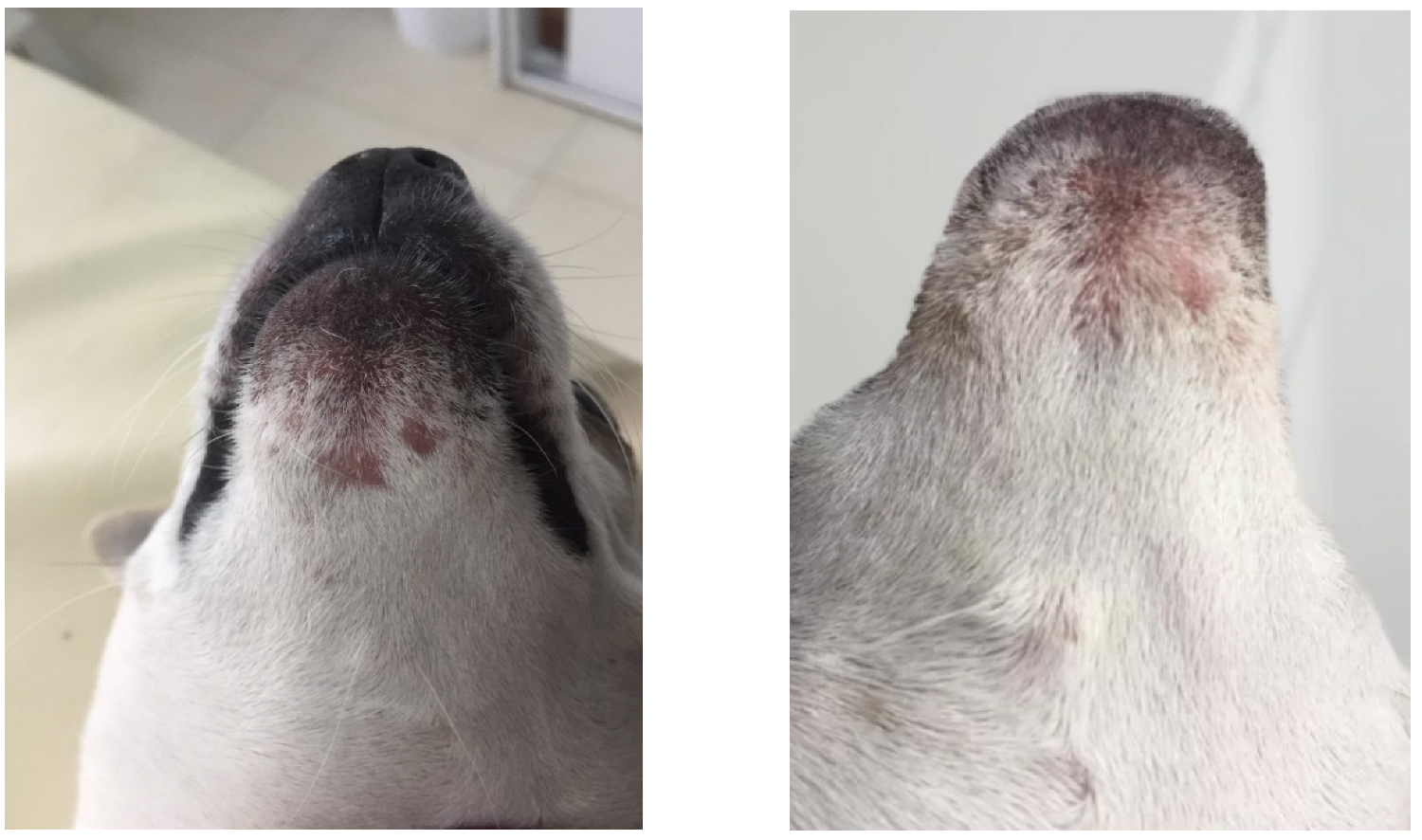 Cosmetics 09 00122 g004