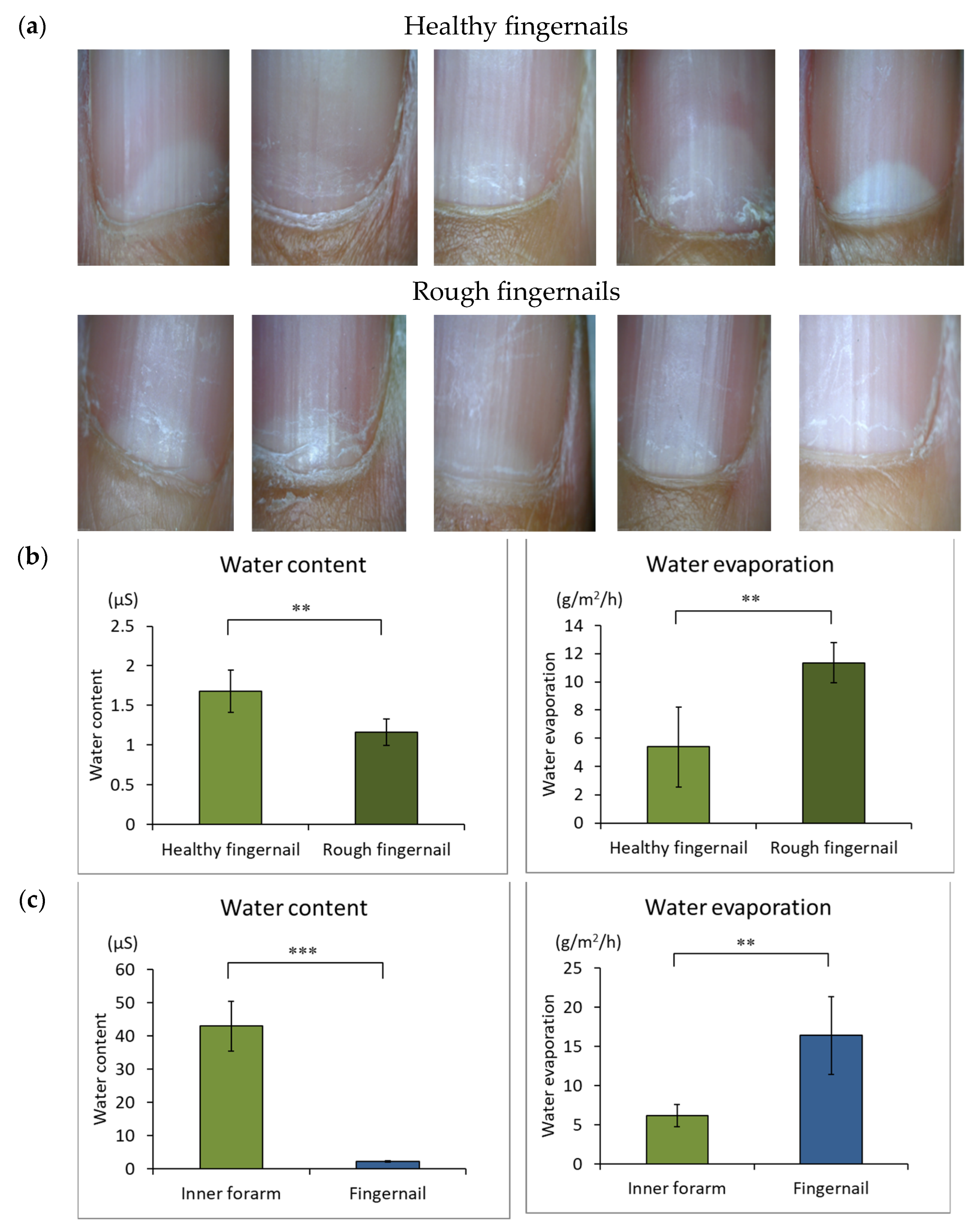 Cosmetics 09 00125 g002a Cosmetics 09 00125 g002a
