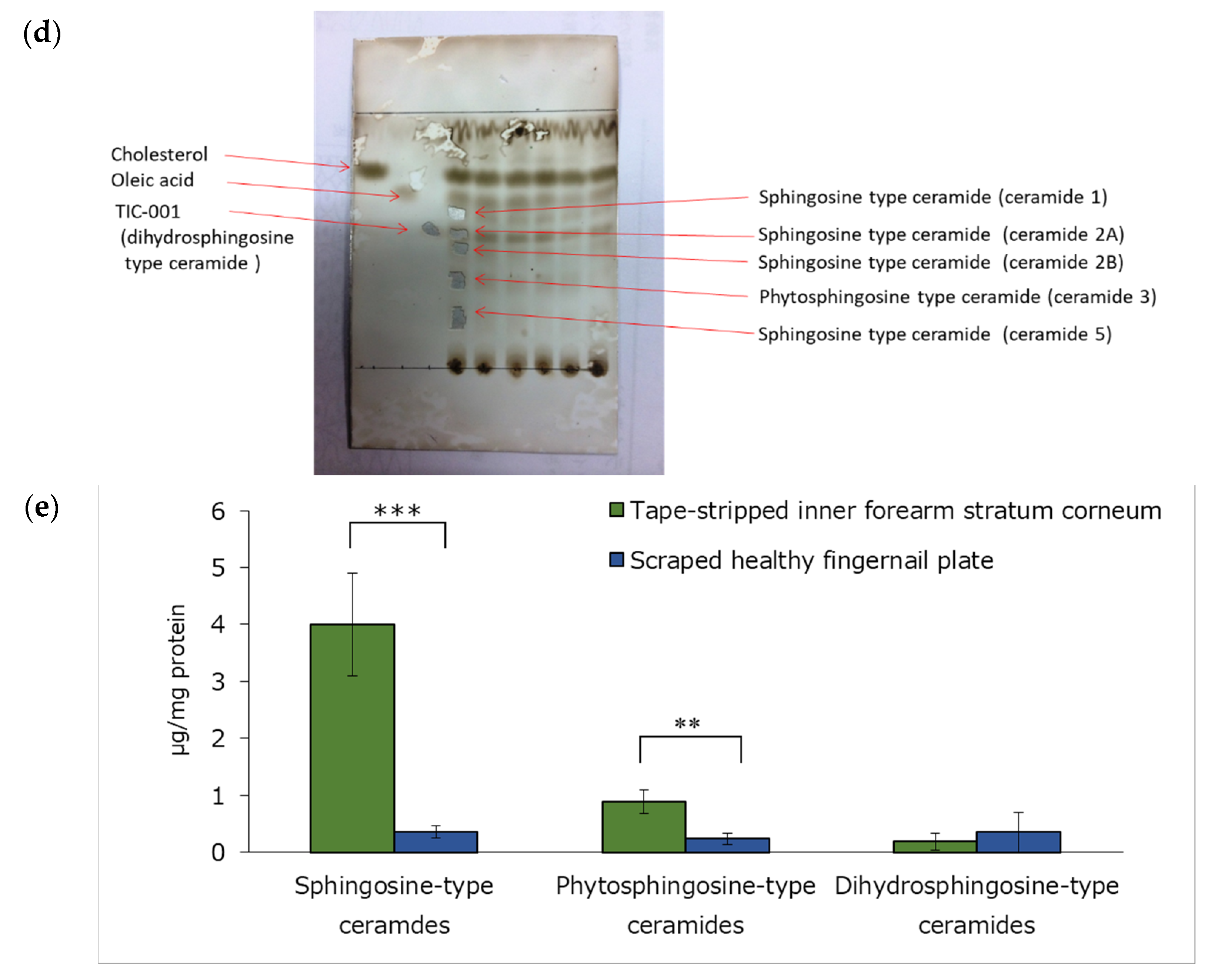 Cosmetics 09 00125 g002b Cosmetics 09 00125 g002b