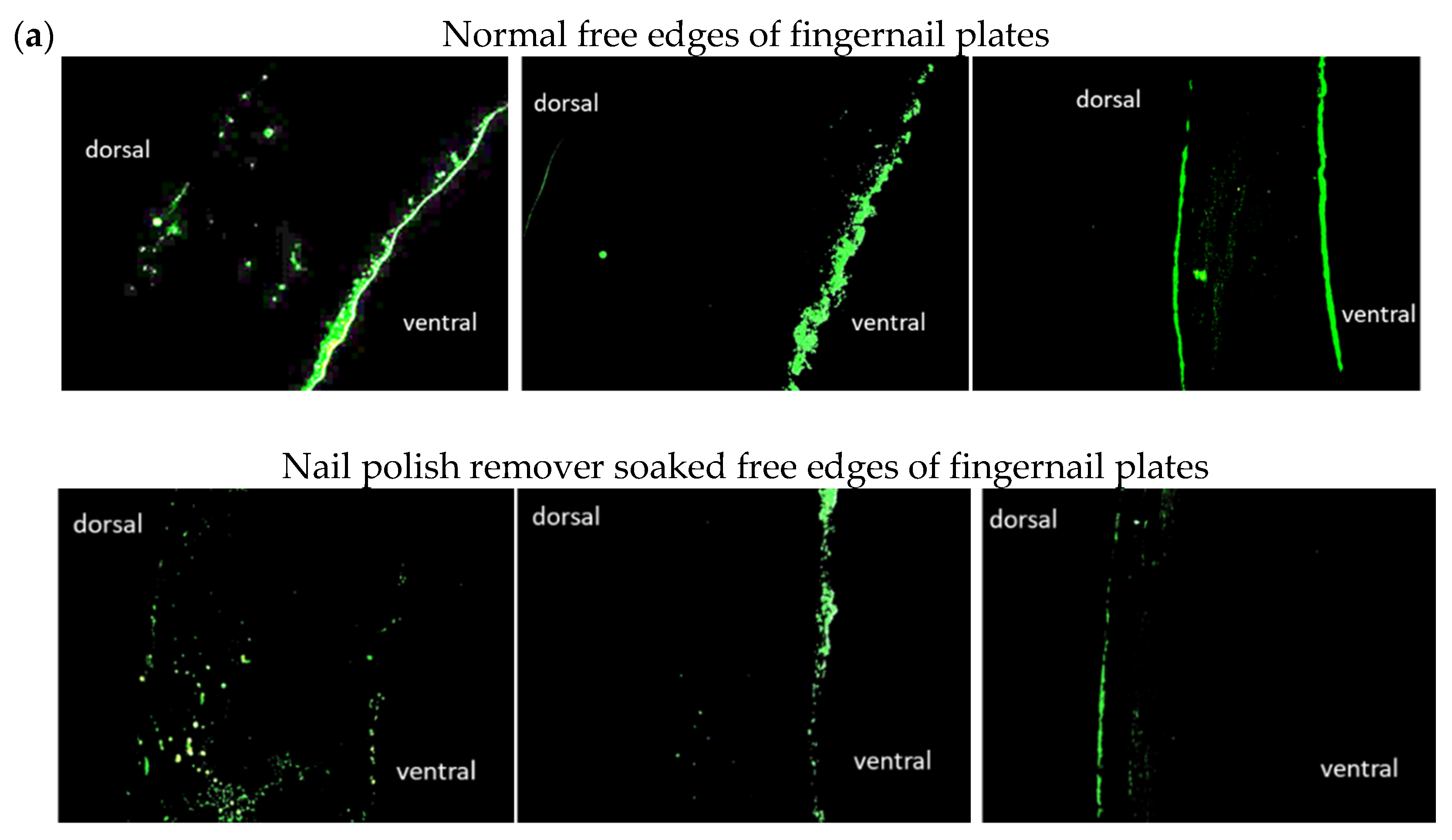 Cosmetics 09 00125 g005a Cosmetics 09 00125 g005a