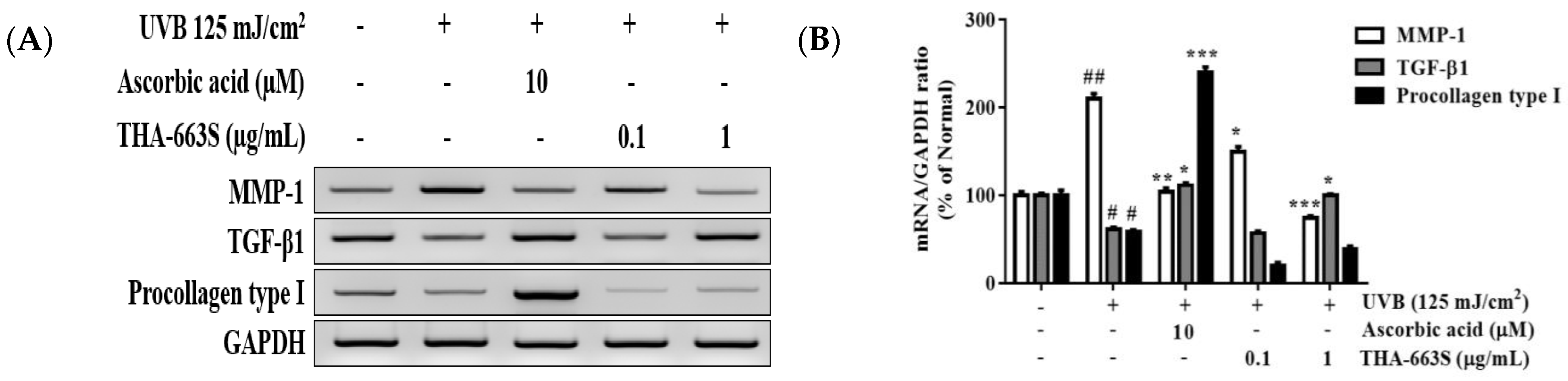 Cosmetics 09 00126 g005