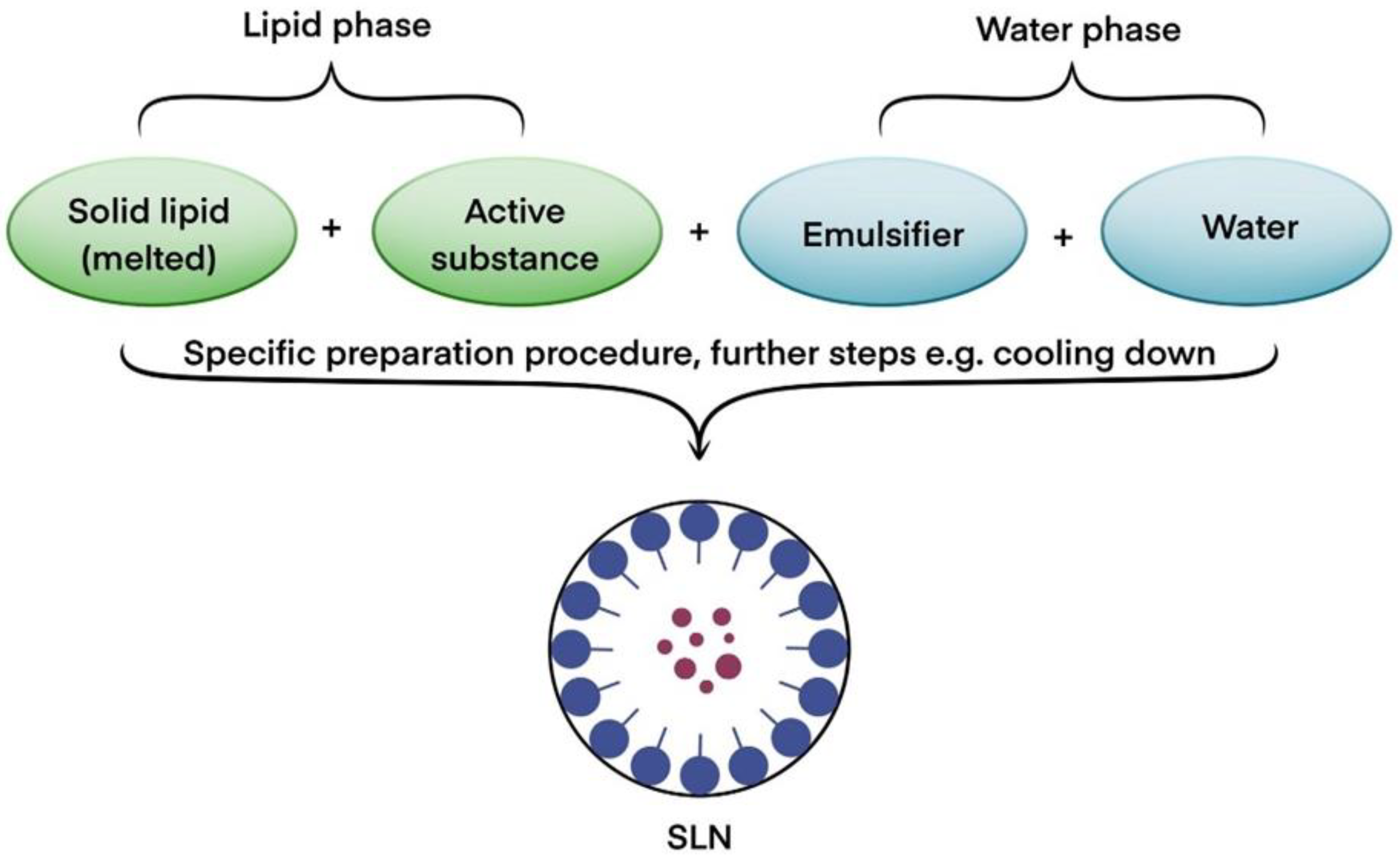 Cosmetics 09 00129 g002