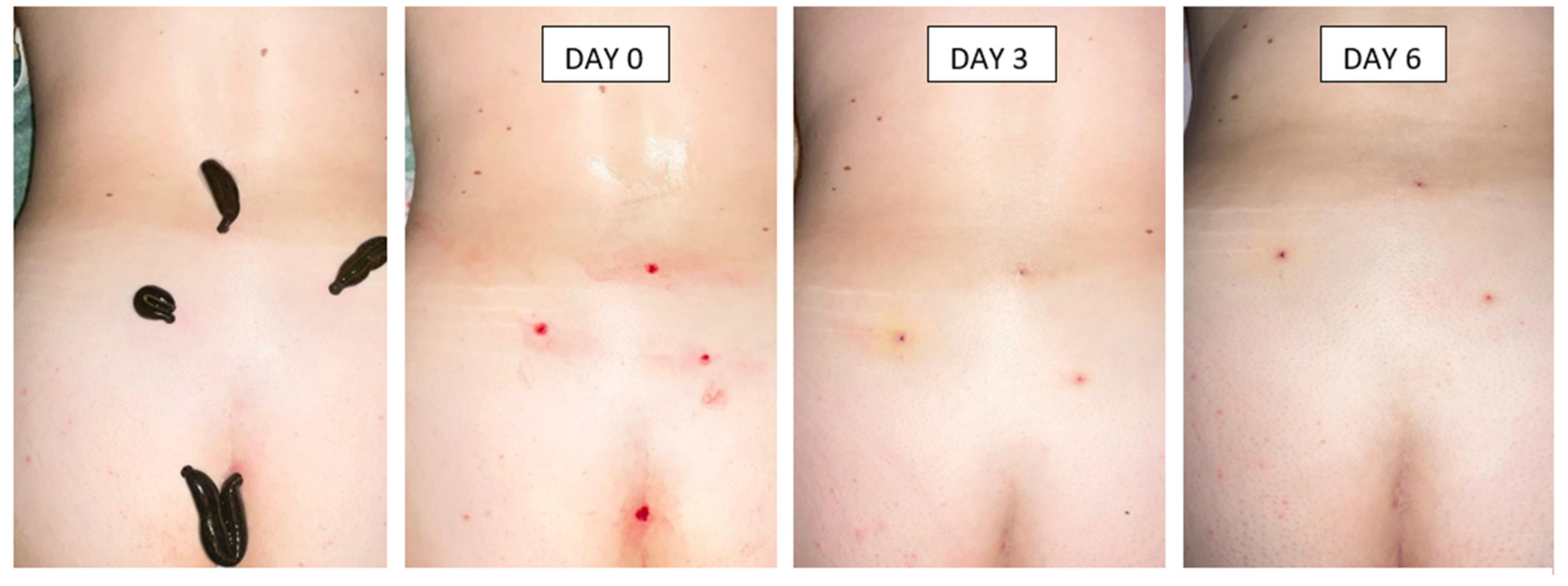 Cosmetics 09 00137 g001 Cosmetics 09 00137 g001