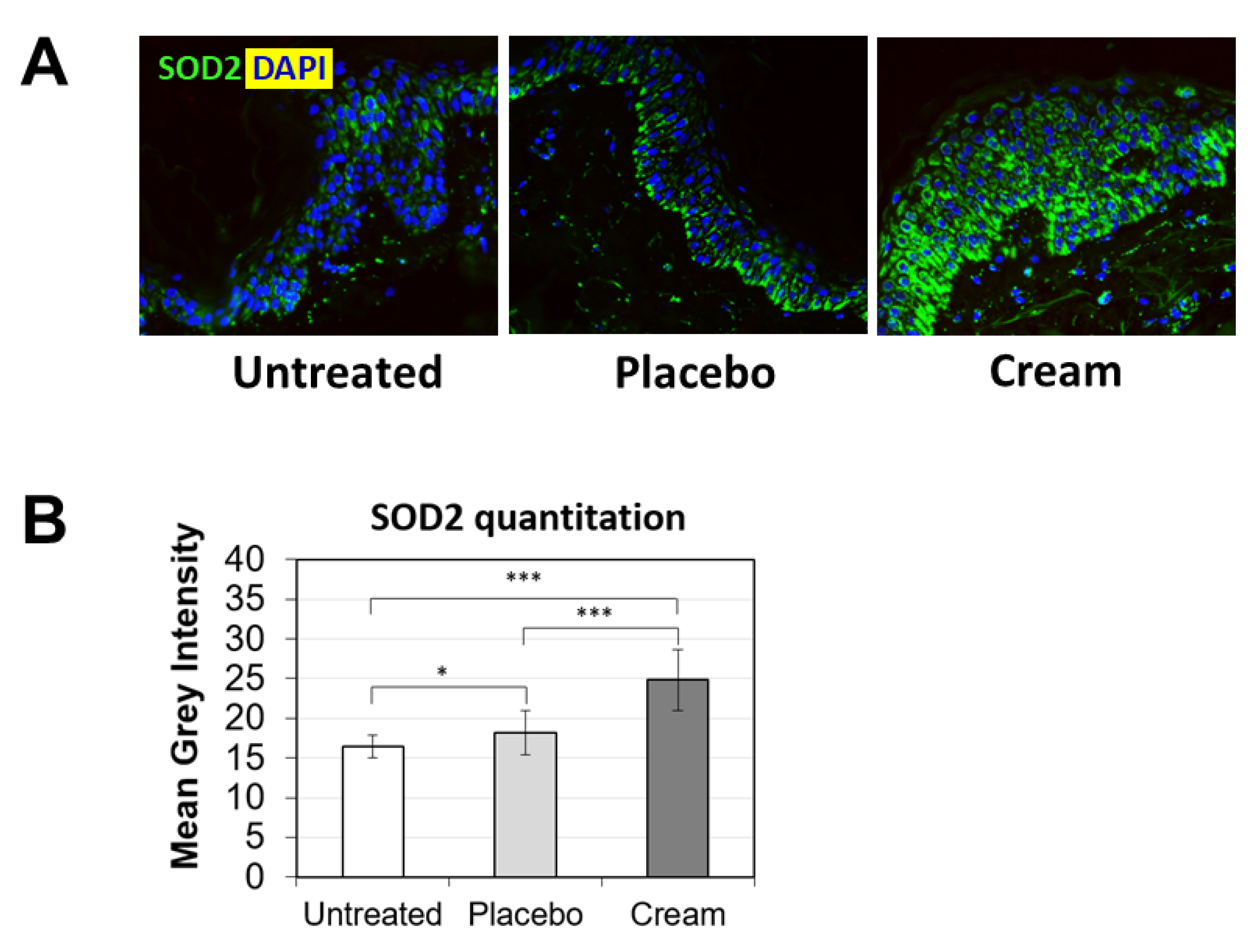 Cosmetics 09 00138 g003