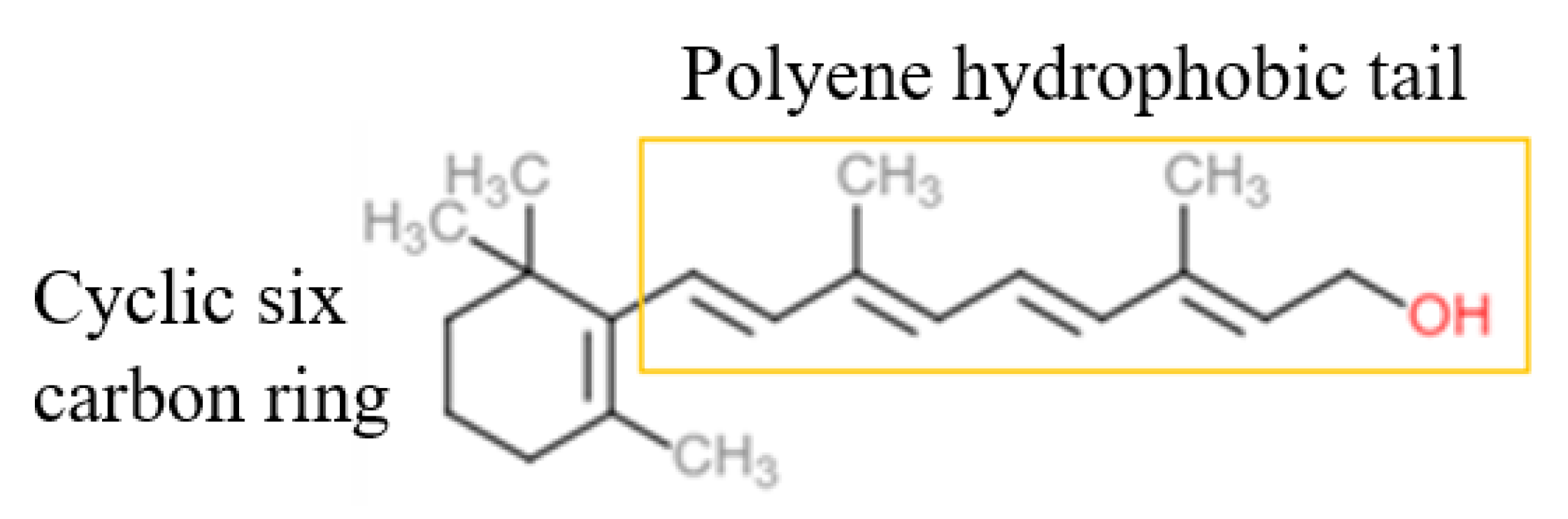 Cosmetics 09 00140 g001